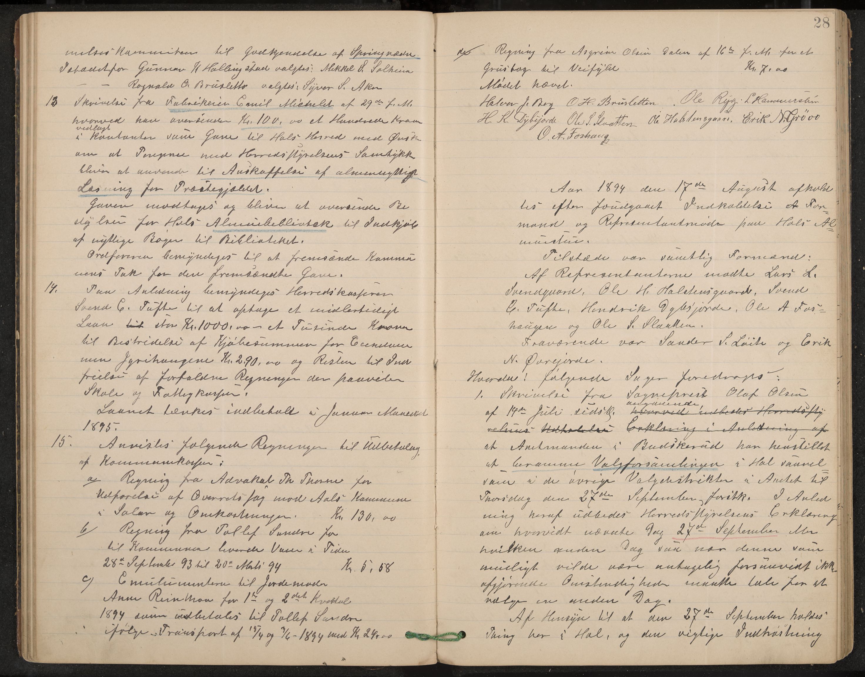 Hol formannskap og sentraladministrasjon, IKAK/0620021-1/A/L0002: Møtebok, 1893-1897, p. 28