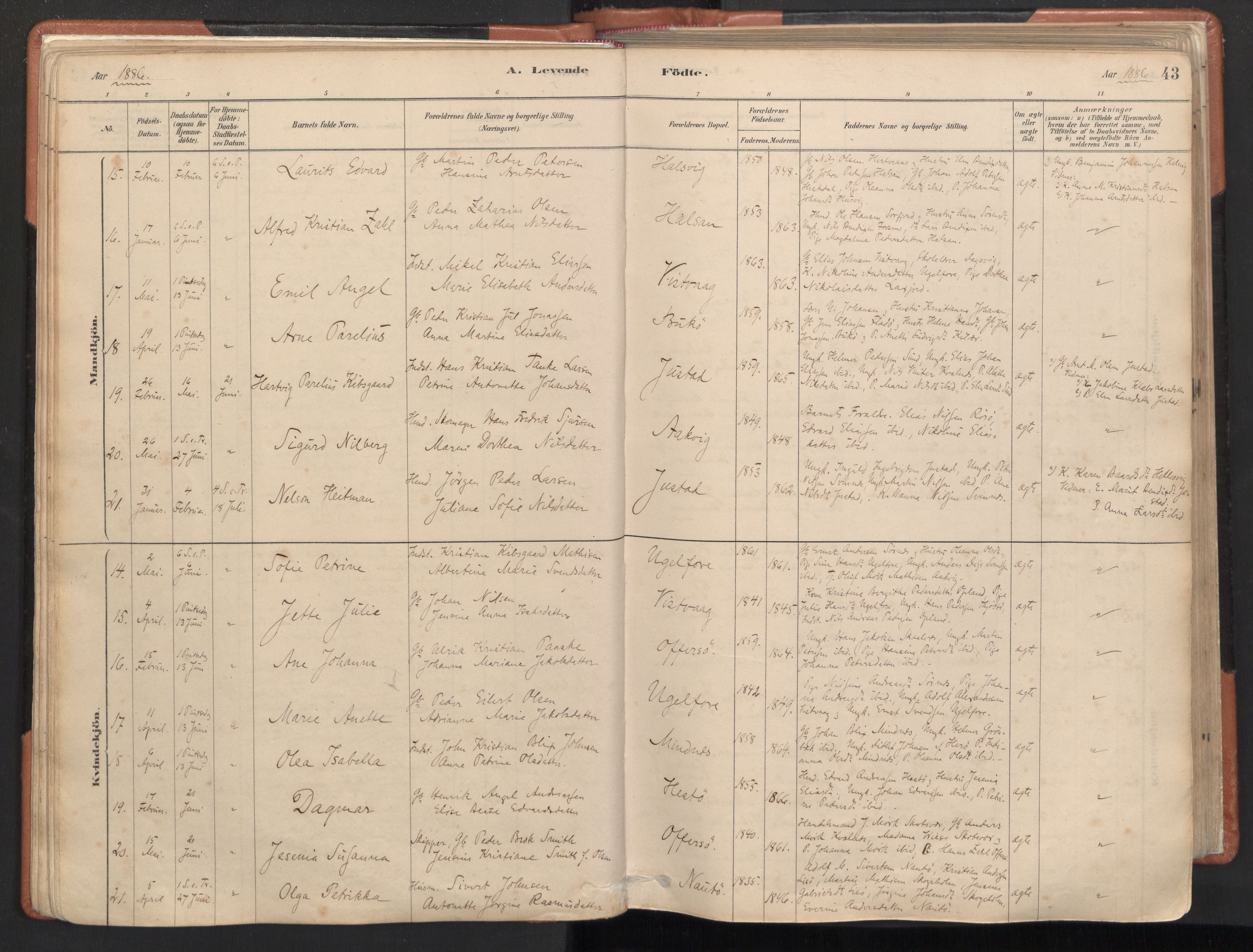 Ministerialprotokoller, klokkerbøker og fødselsregistre - Nordland, SAT/A-1459/817/L0264: Parish register (official) no. 817A04, 1878-1907, p. 43