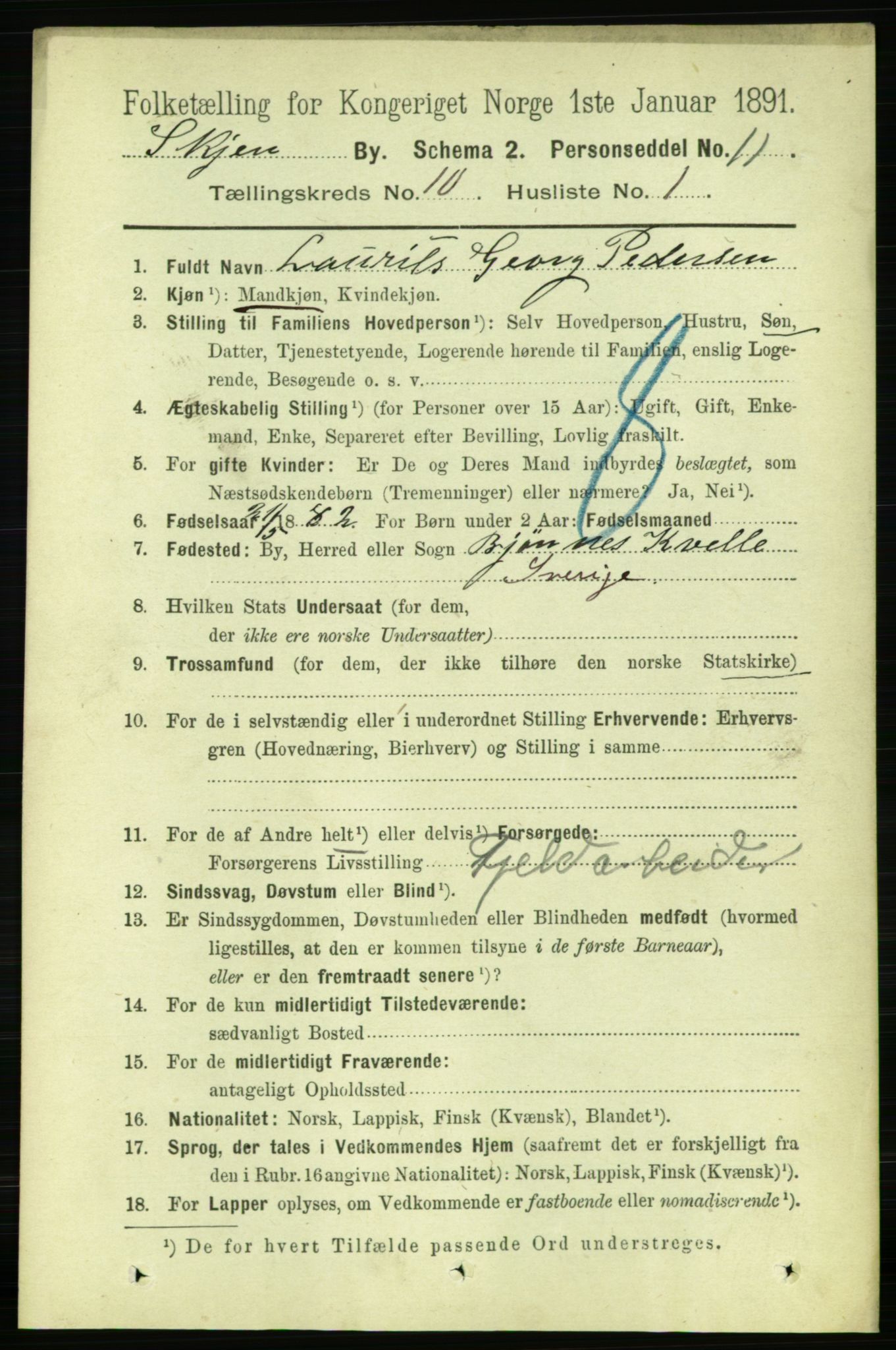 RA, 1891 census for 0806 Skien, 1891, p. 3590