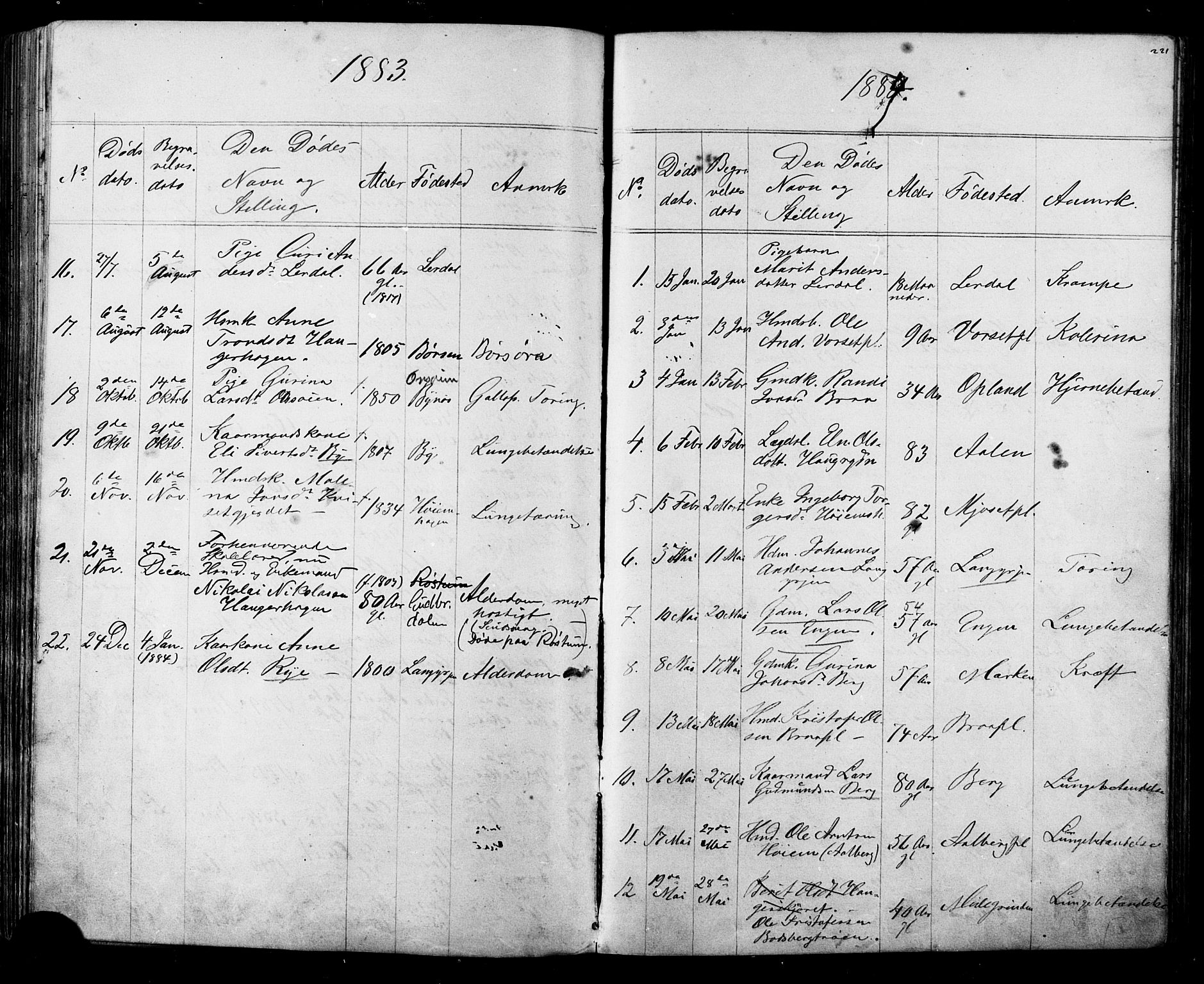 Ministerialprotokoller, klokkerbøker og fødselsregistre - Sør-Trøndelag, SAT/A-1456/612/L0387: Parish register (copy) no. 612C03, 1874-1908, p. 221