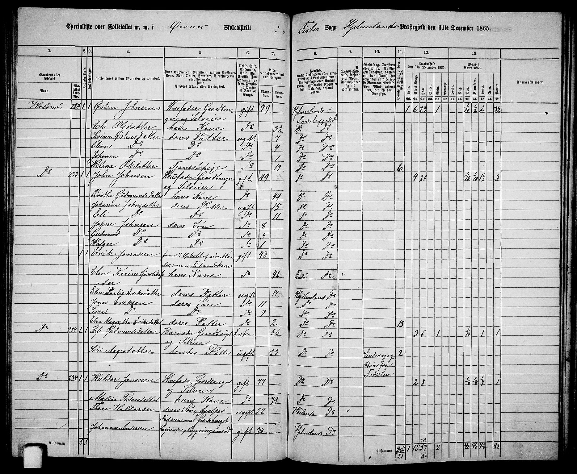 RA, 1865 census for Hjelmeland, 1865, p. 137