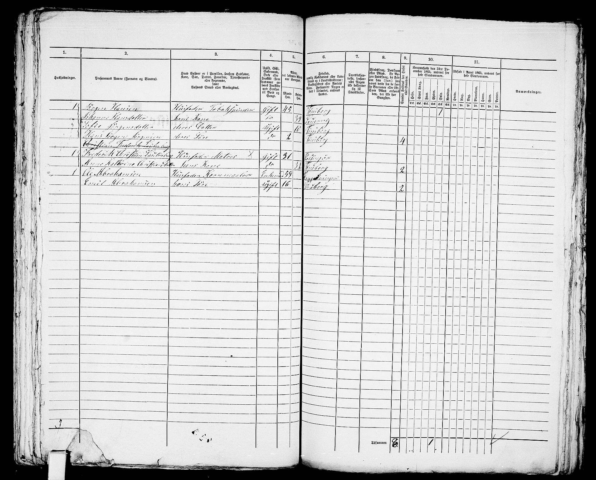 RA, 1865 census for Tønsberg, 1865, p. 589