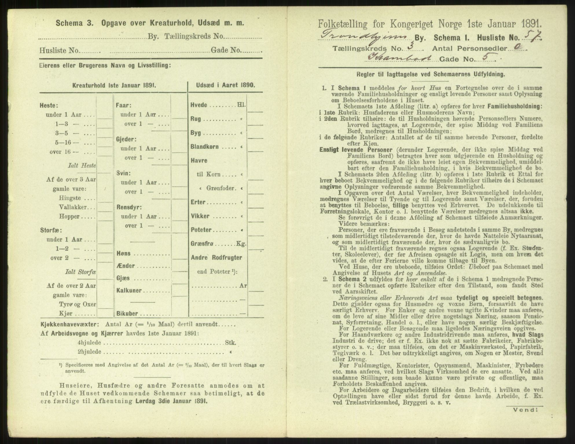 RA, 1891 census for 1601 Trondheim, 1891, p. 460