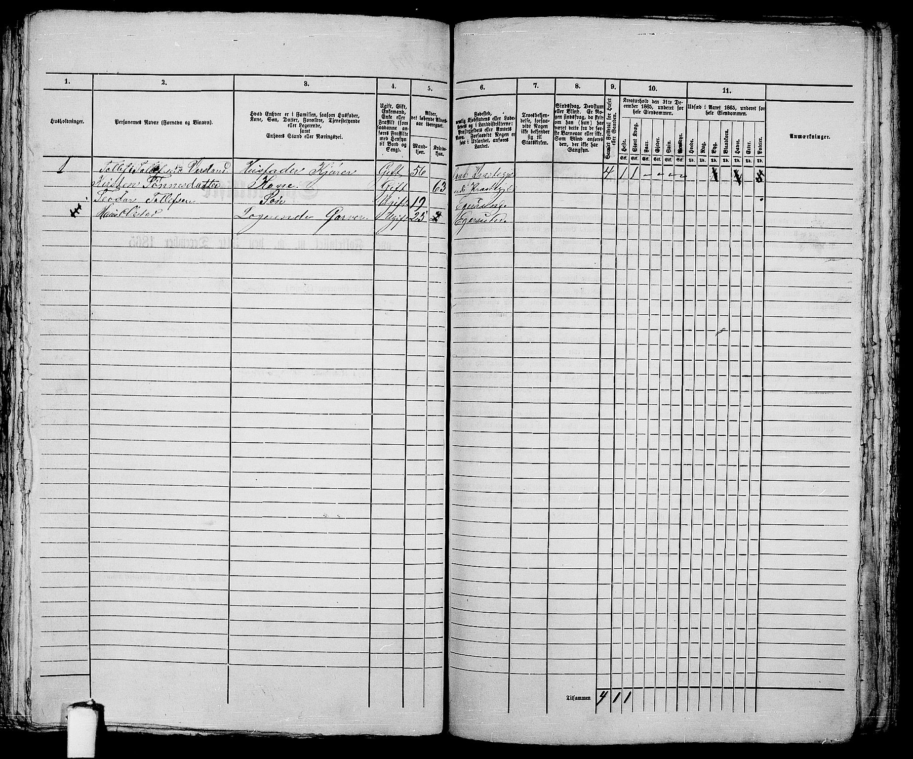 RA, 1865 census for Eigersund parish, Egersund town, 1865, p. 371