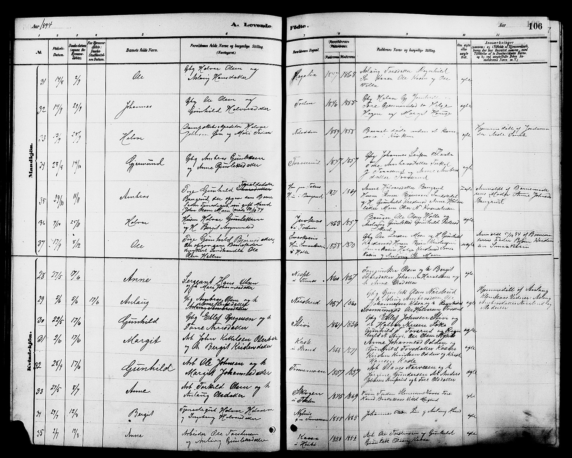 Heddal kirkebøker, AV/SAKO-A-268/G/Ga/L0002: Parish register (copy) no. I 2, 1879-1908, p. 106