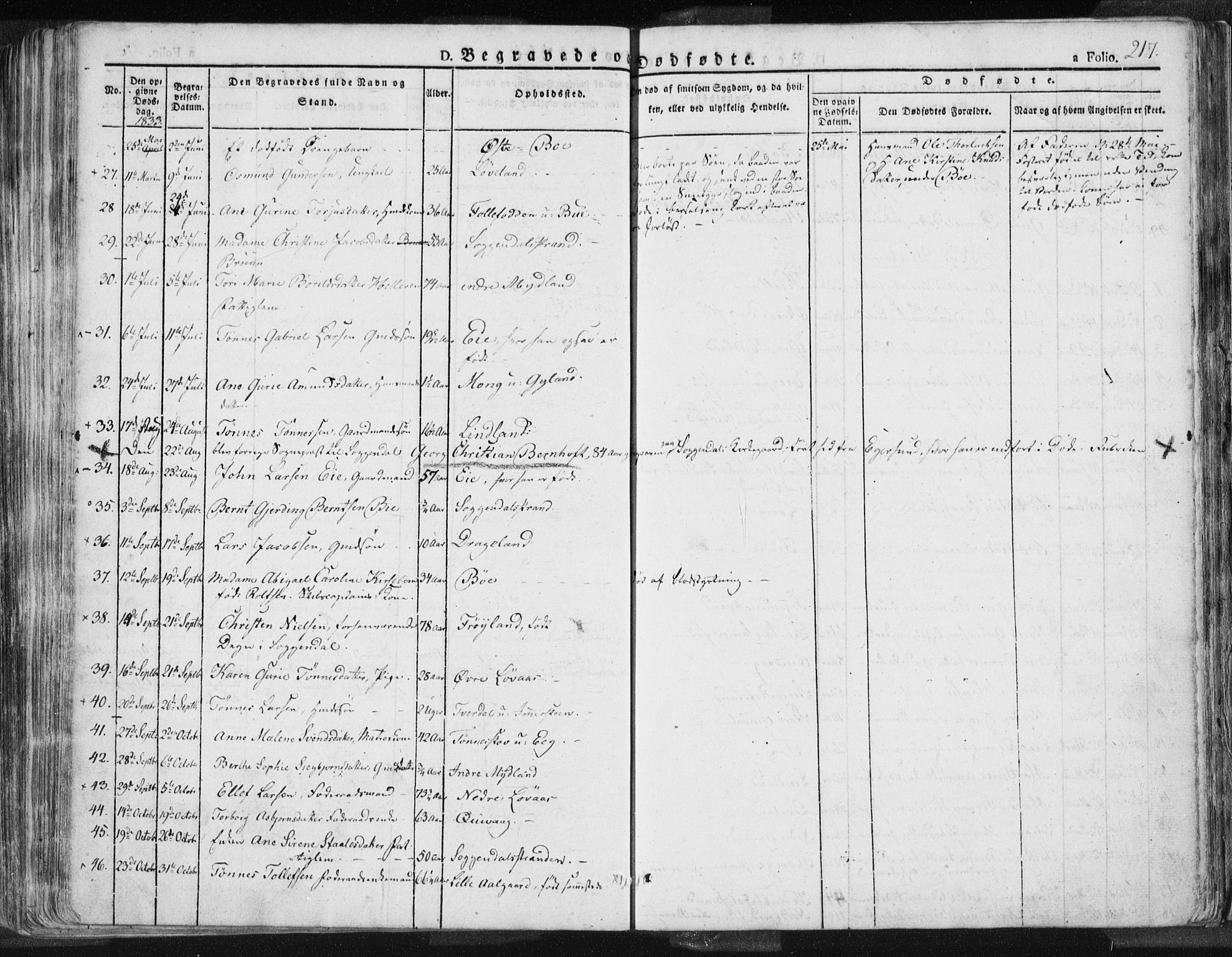 Sokndal sokneprestkontor, AV/SAST-A-101808: Parish register (official) no. A 7.1, 1826-1842, p. 217