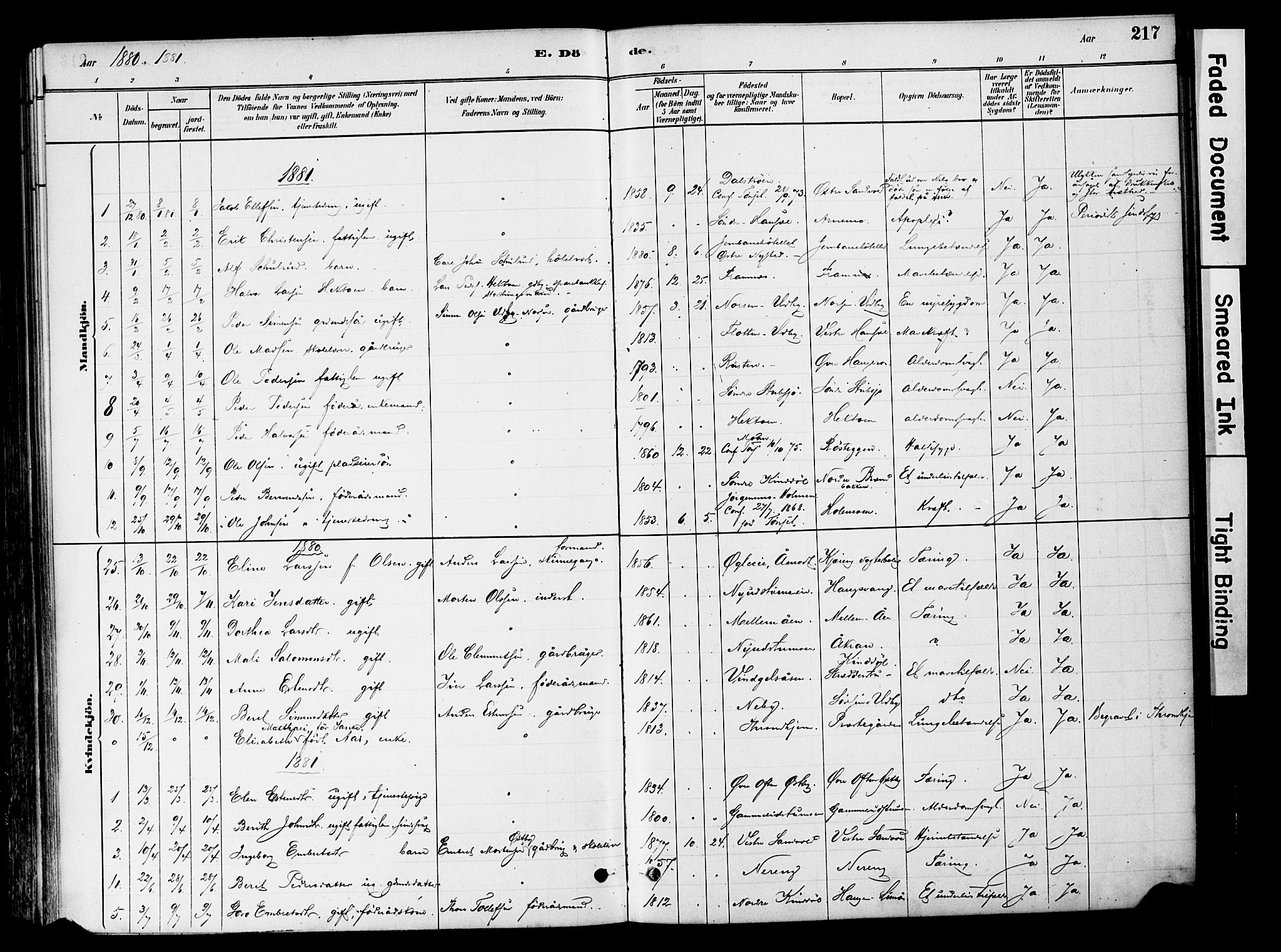Tynset prestekontor, SAH/PREST-058/H/Ha/Haa/L0022: Parish register (official) no. 22, 1880-1899, p. 217