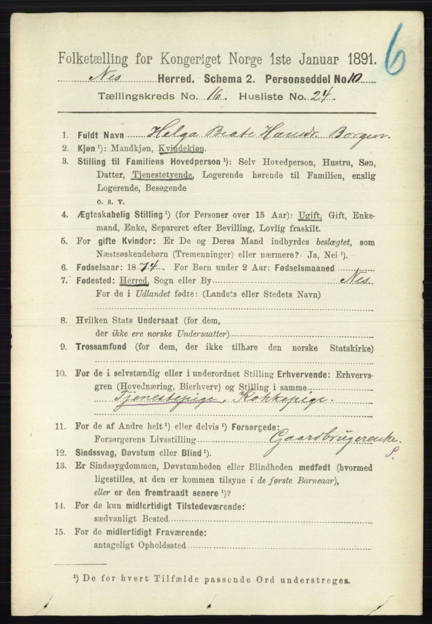 RA, 1891 census for 0236 Nes, 1891, p. 9691