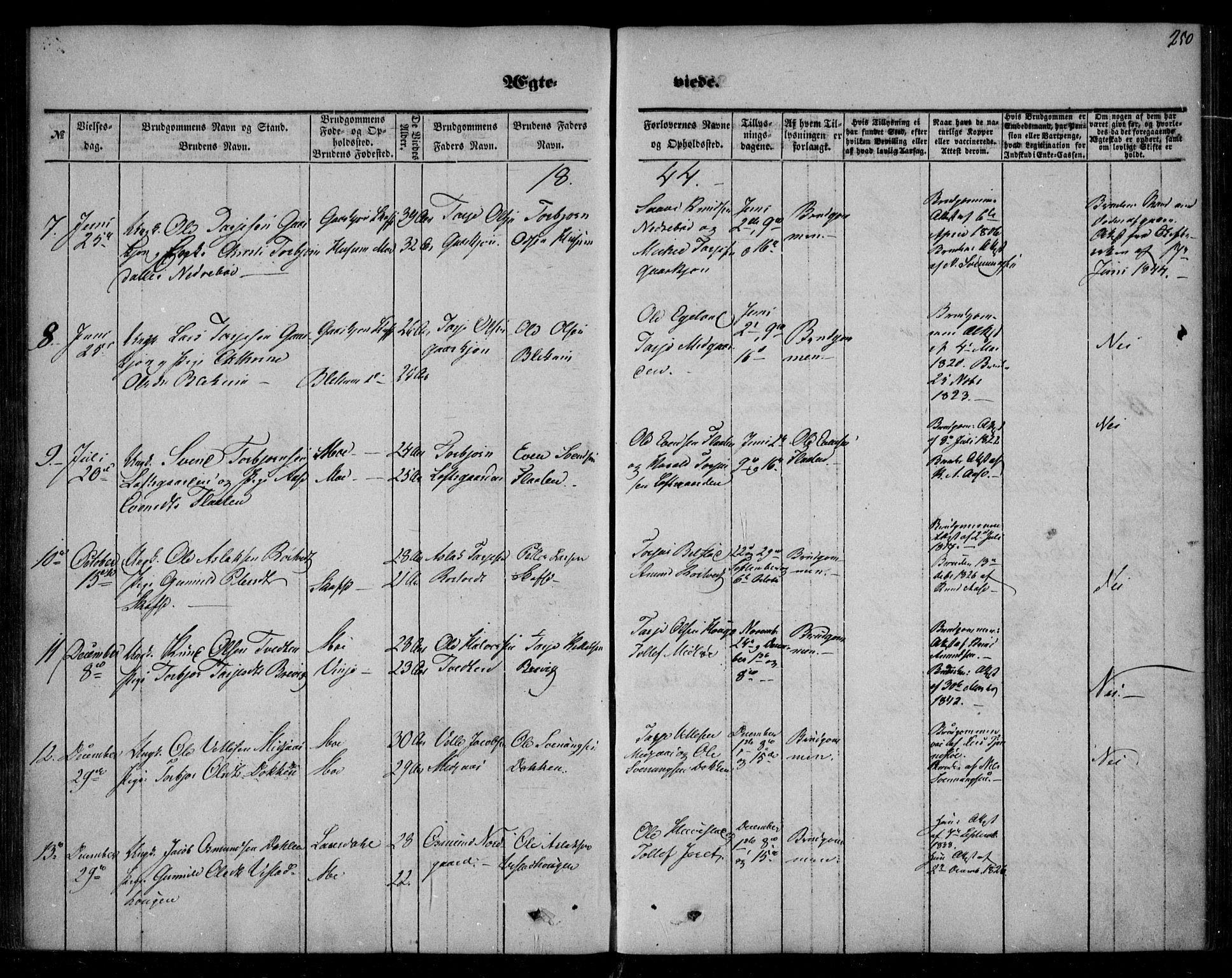 Mo kirkebøker, SAKO/A-286/F/Fa/L0005: Parish register (official) no. I 5, 1844-1864, p. 250