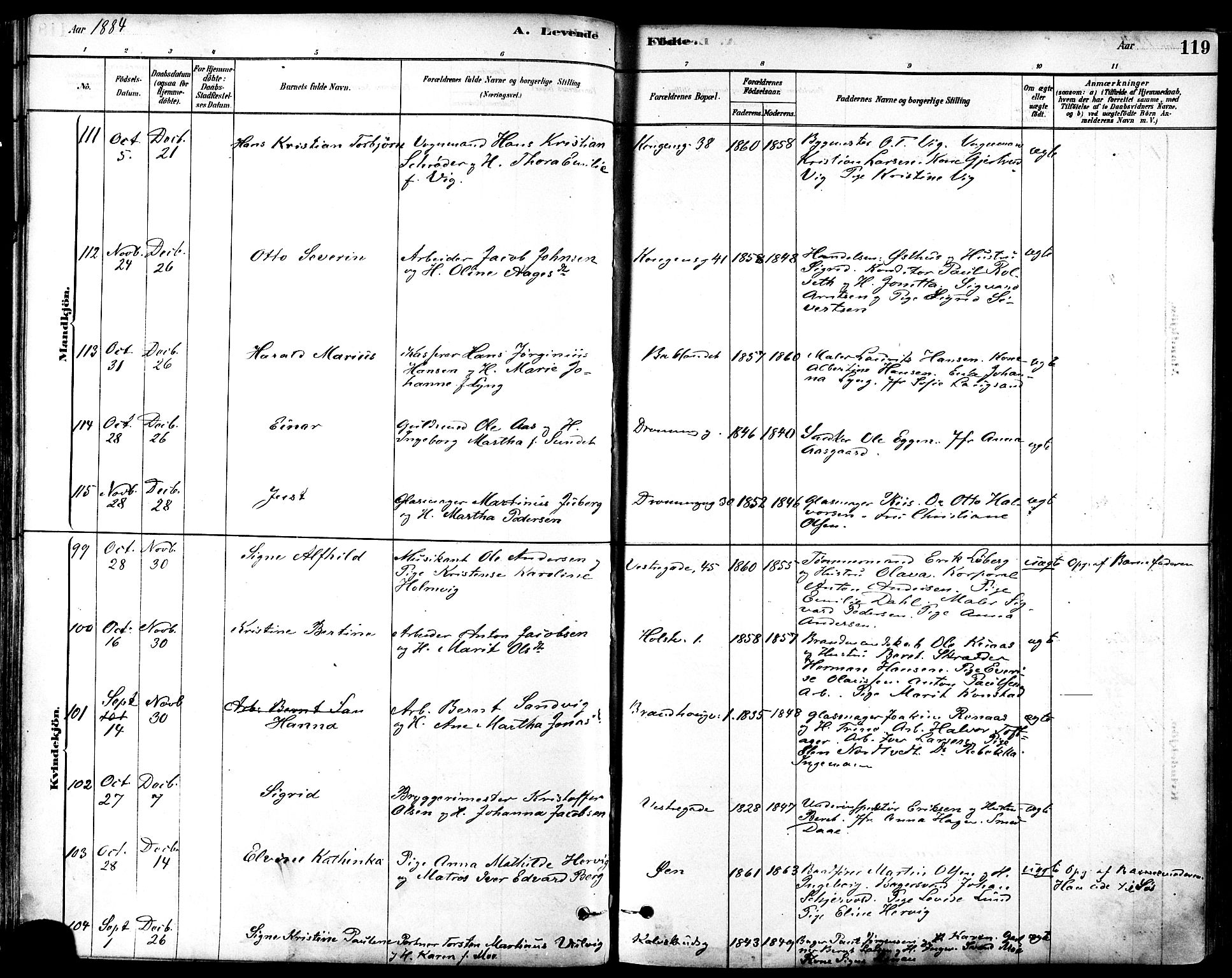 Ministerialprotokoller, klokkerbøker og fødselsregistre - Sør-Trøndelag, SAT/A-1456/601/L0057: Parish register (official) no. 601A25, 1877-1891, p. 119