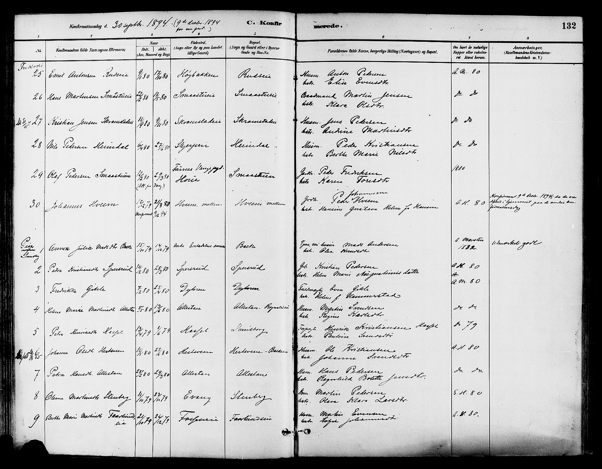 Østre Toten prestekontor, SAH/PREST-104/H/Ha/Haa/L0007: Parish register (official) no. 7, 1881-1896, p. 132