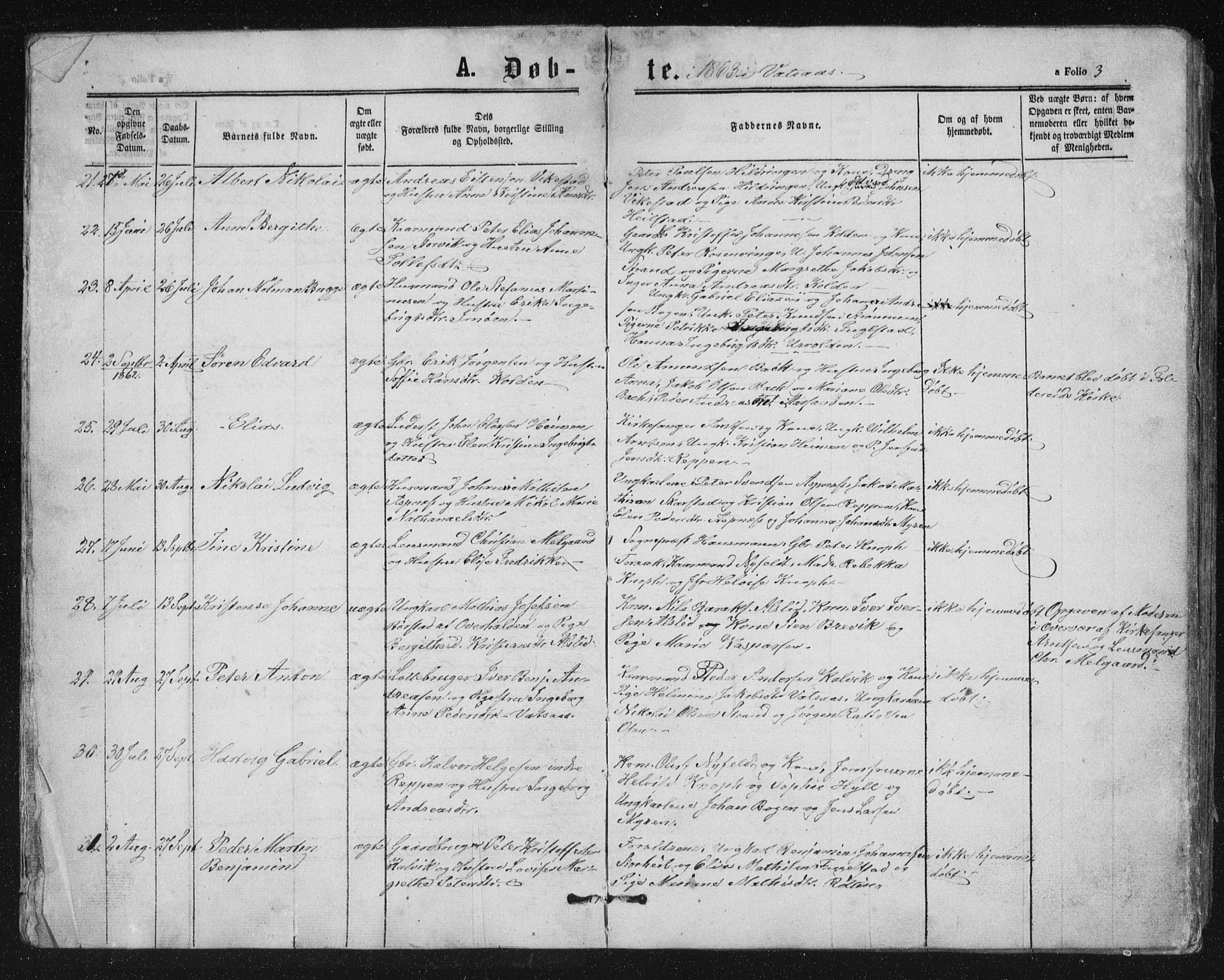 Ministerialprotokoller, klokkerbøker og fødselsregistre - Nordland, AV/SAT-A-1459/810/L0158: Parish register (copy) no. 810C02 /1, 1863-1883, p. 3