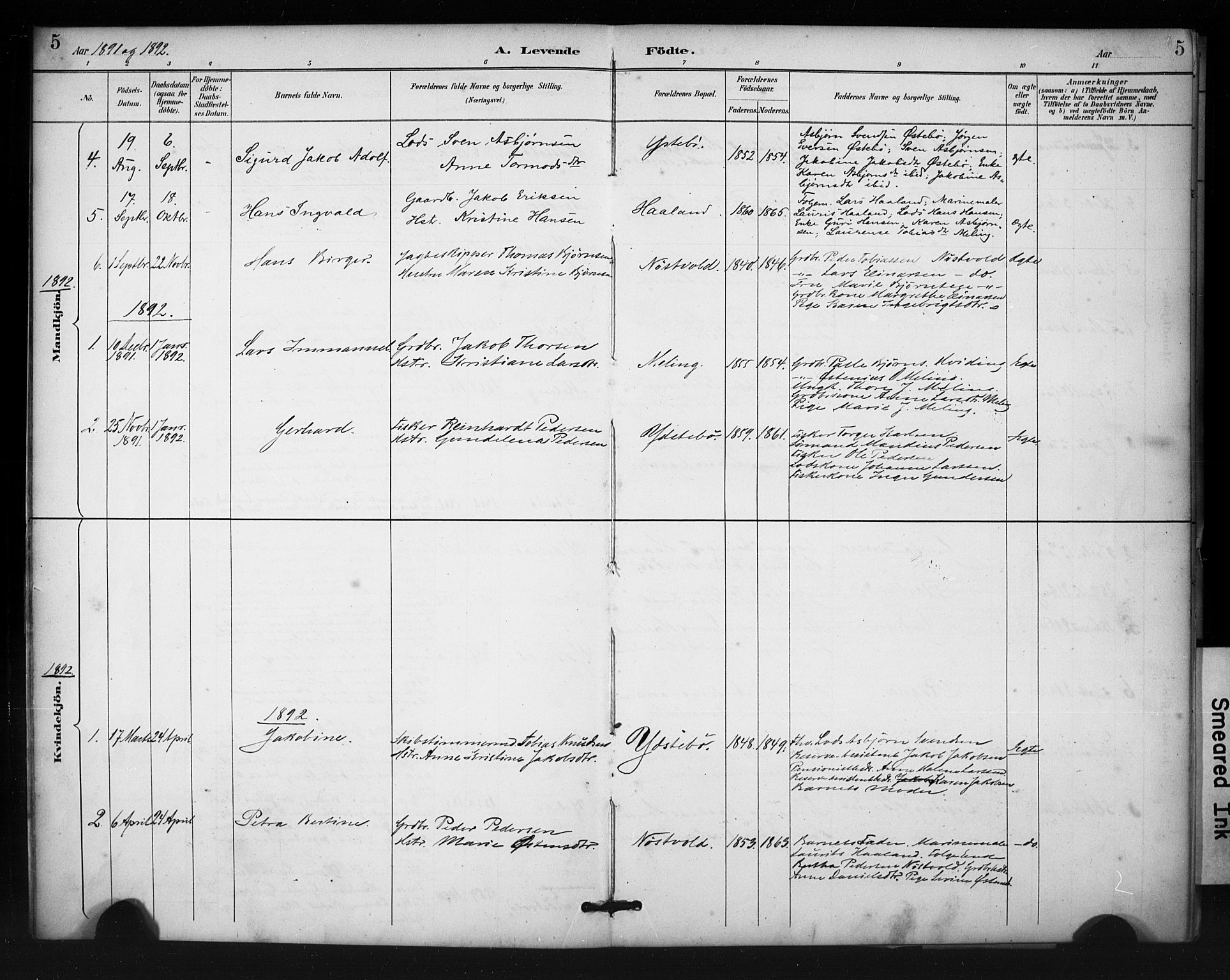 Rennesøy sokneprestkontor, SAST/A -101827/H/Ha/Haa/L0013: Parish register (official) no. A 12, 1888-1916, p. 5