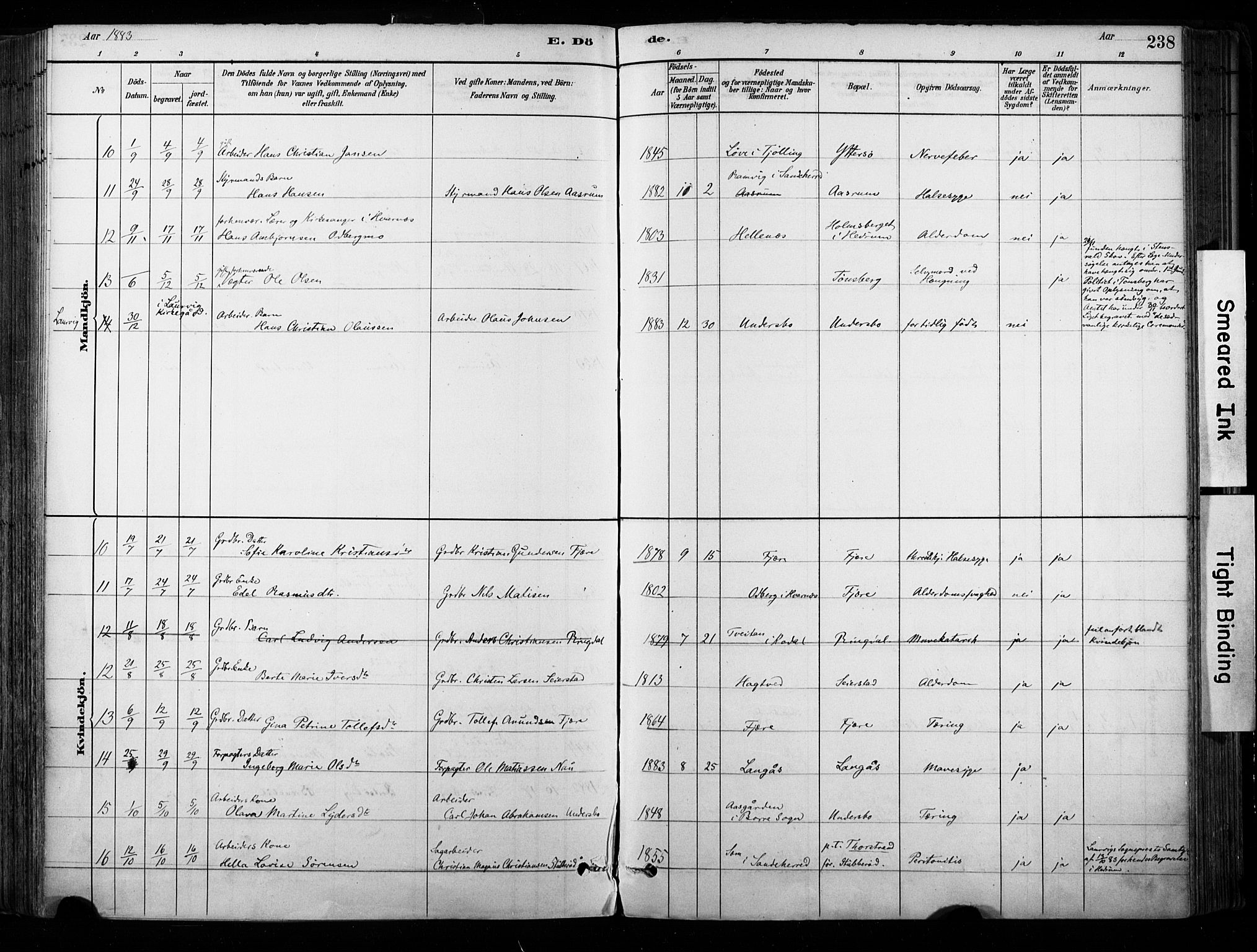 Hedrum kirkebøker, SAKO/A-344/F/Fa/L0009: Parish register (official) no. I 9, 1881-1903, p. 238