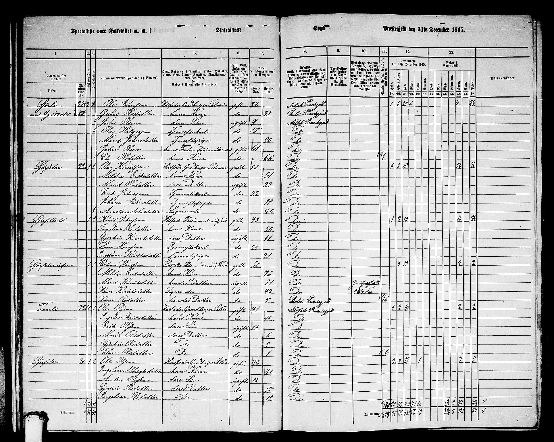 RA, 1865 census for Nesset, 1865, p. 20