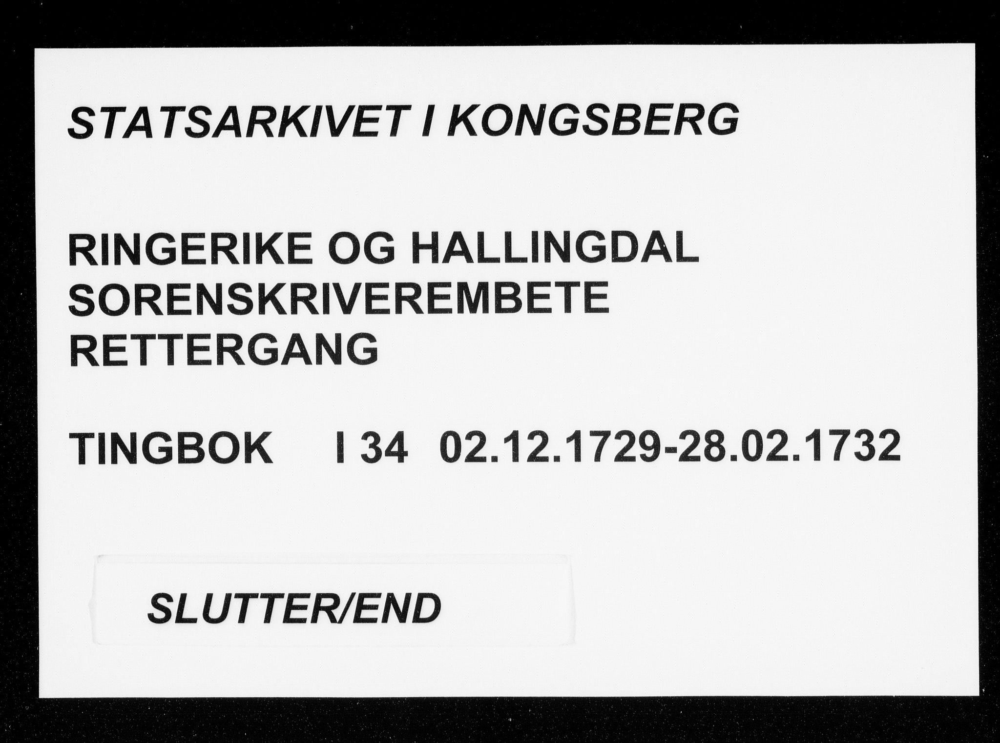 Ringerike og Hallingdal sorenskriveri, SAKO/A-81/F/Fa/Faa/L0034: Tingbok, 1729-1732