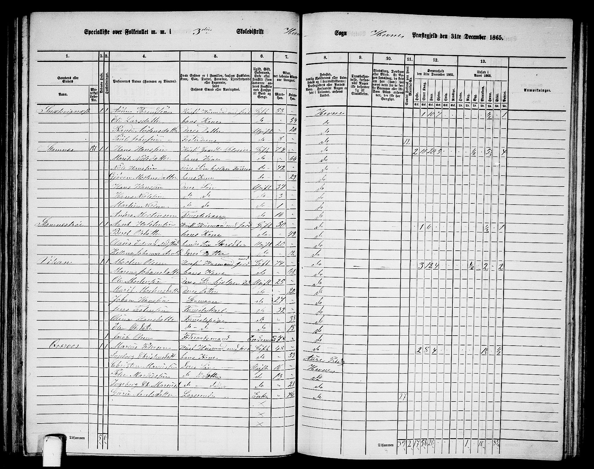 RA, 1865 census for Hemne, 1865, p. 75