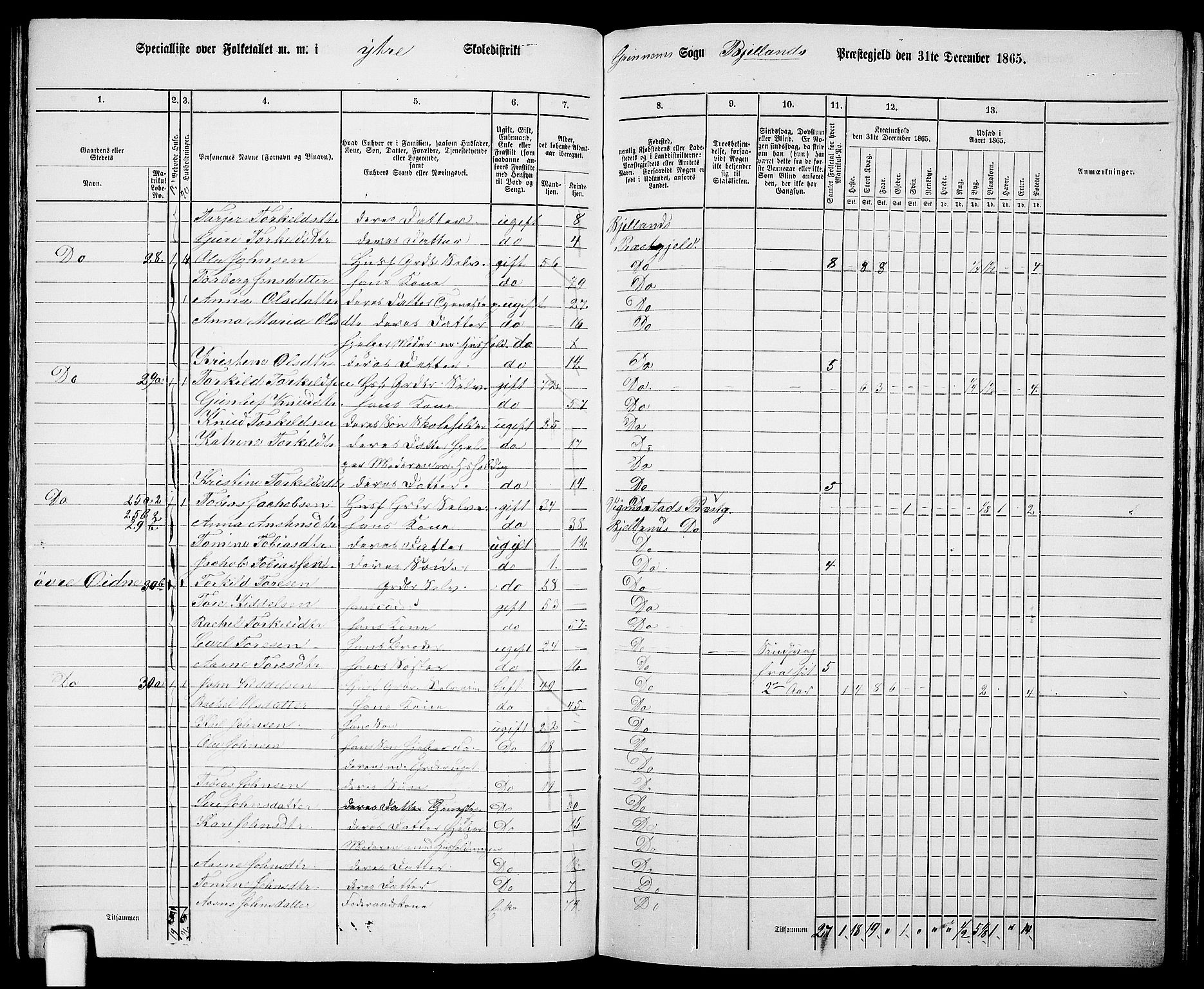 RA, 1865 census for Bjelland, 1865, p. 51