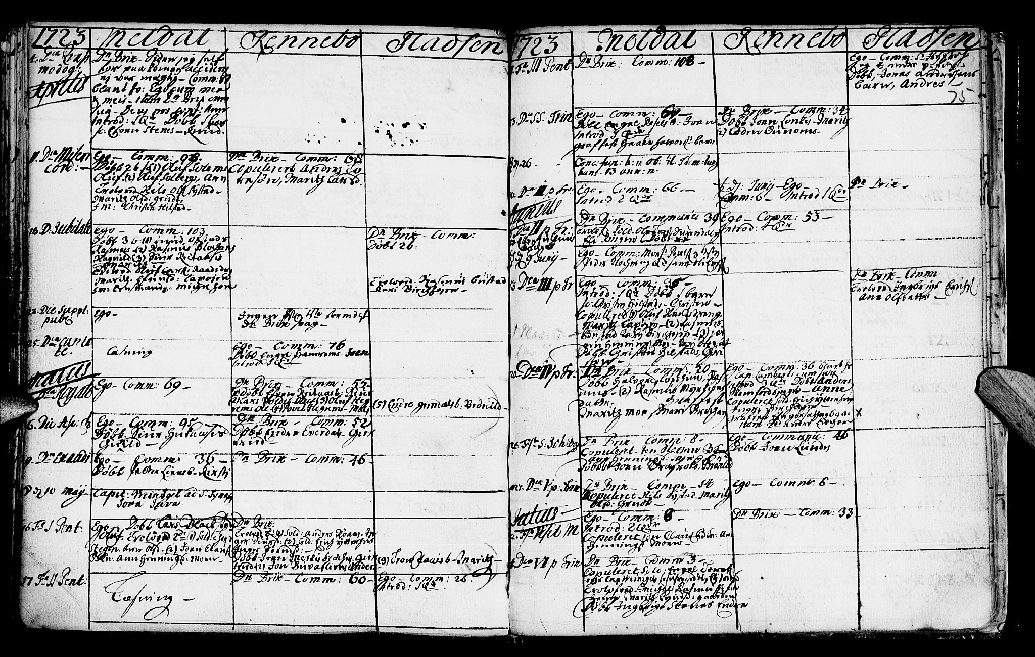 Ministerialprotokoller, klokkerbøker og fødselsregistre - Sør-Trøndelag, SAT/A-1456/672/L0849: Parish register (official) no. 672A02, 1705-1725, p. 75