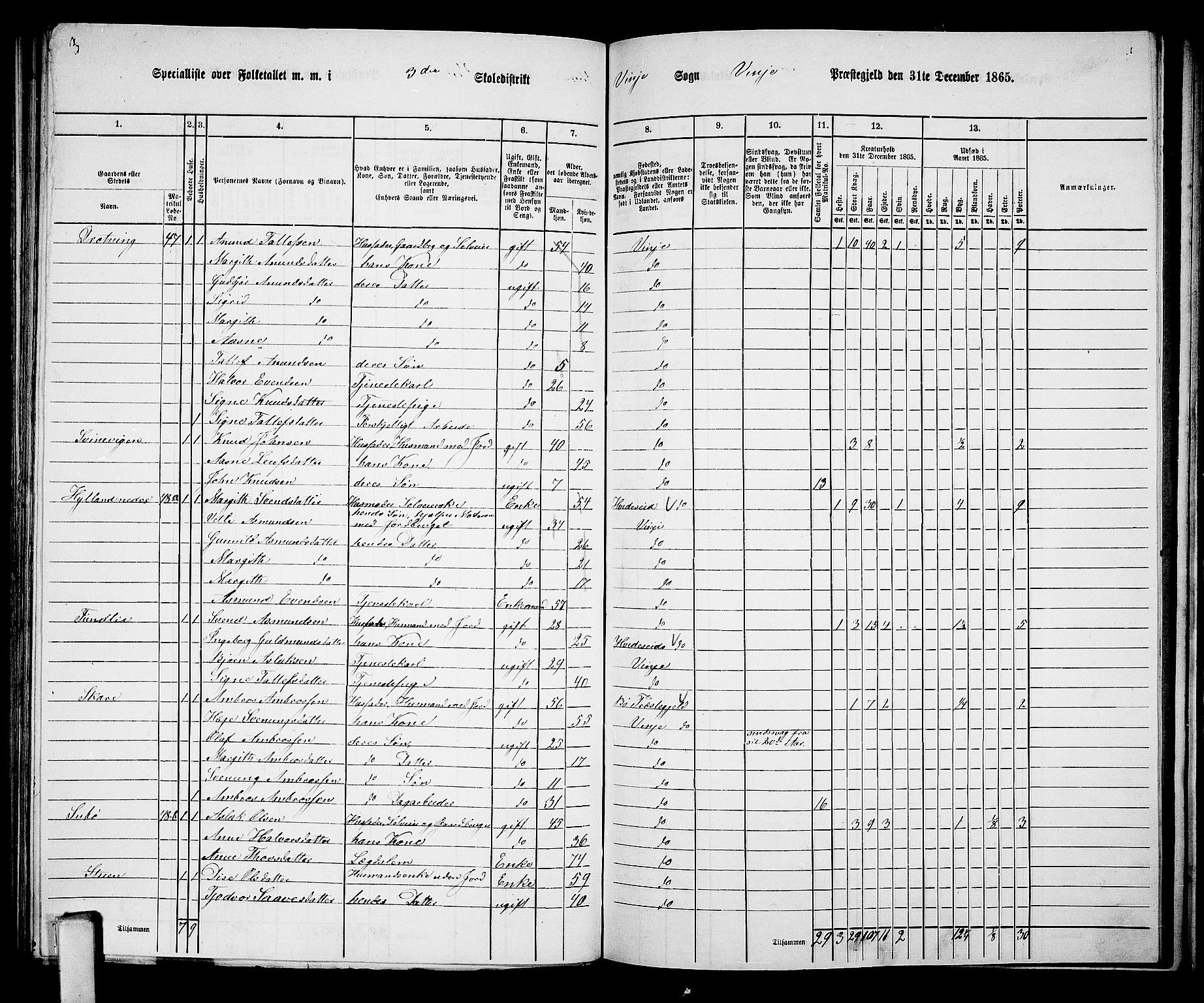 RA, 1865 census for Vinje, 1865, p. 30
