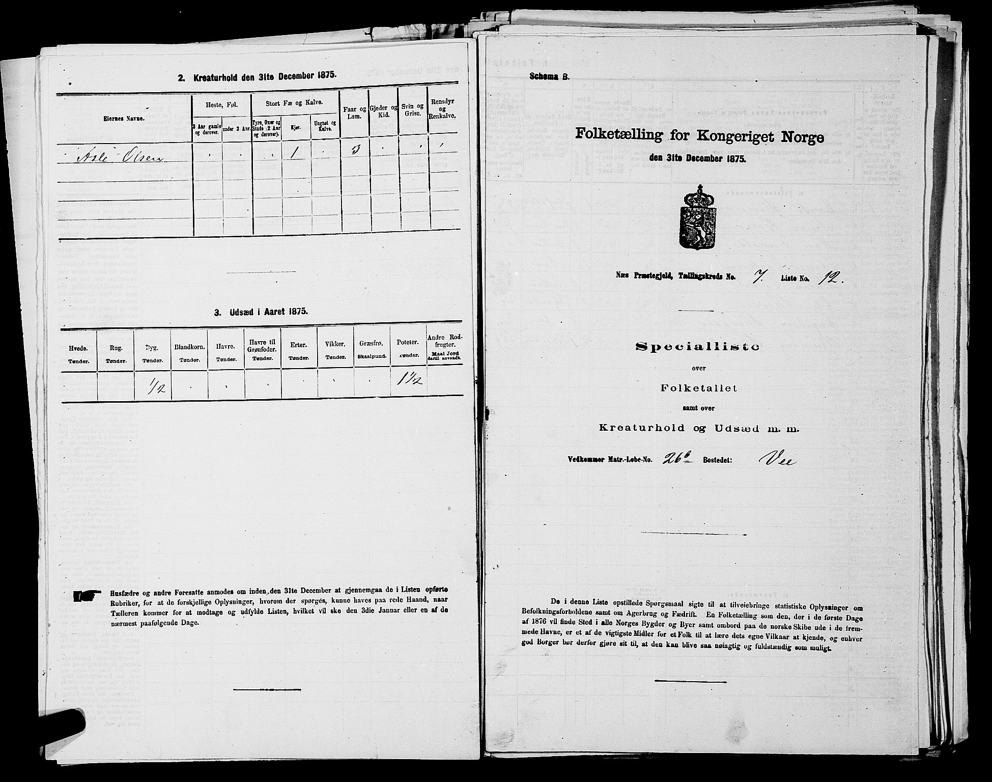 SAKO, 1875 census for 0616P Nes, 1875, p. 1180