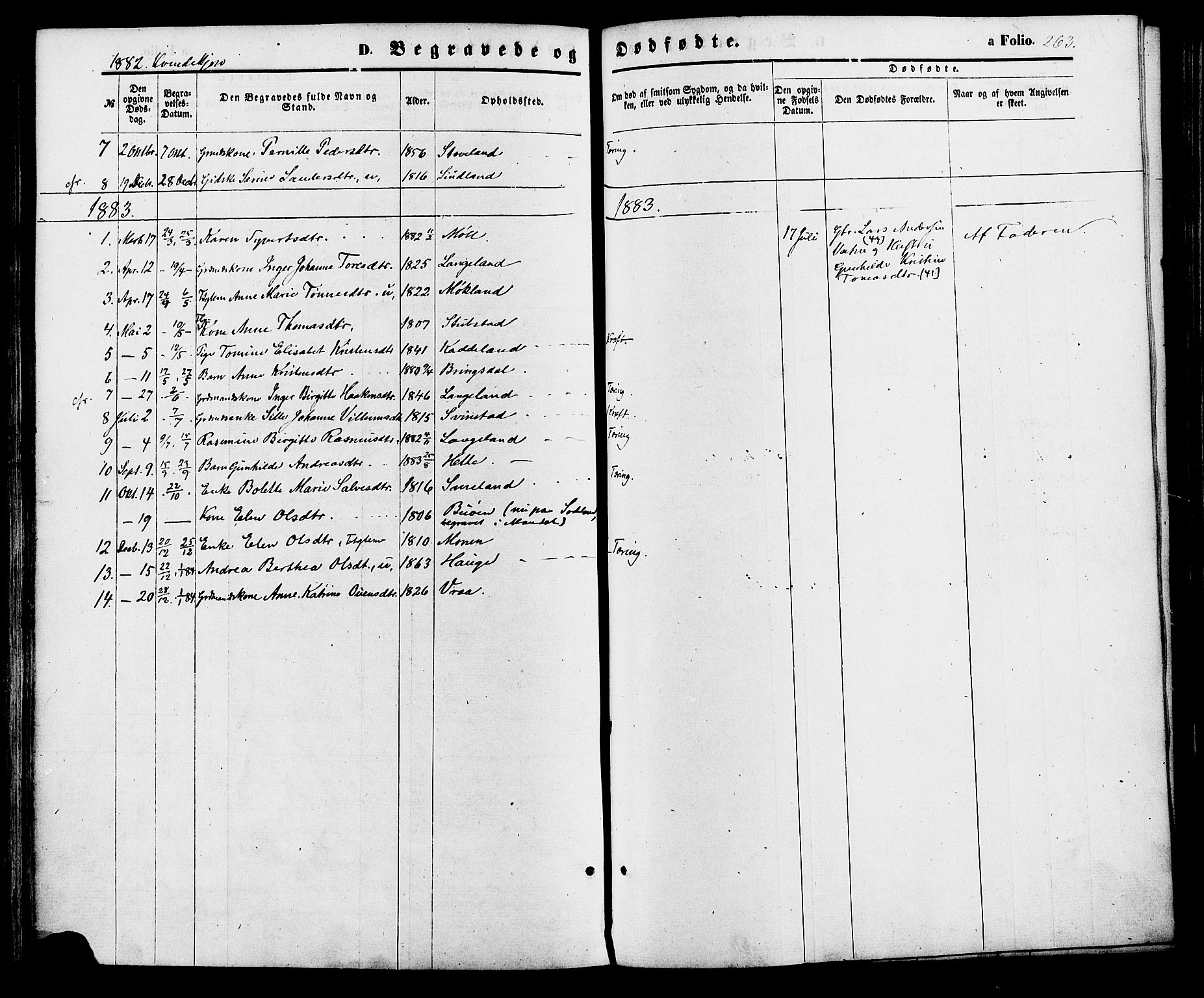 Holum sokneprestkontor, AV/SAK-1111-0022/F/Fa/Faa/L0006: Parish register (official) no. A 6, 1865-1883, p. 263