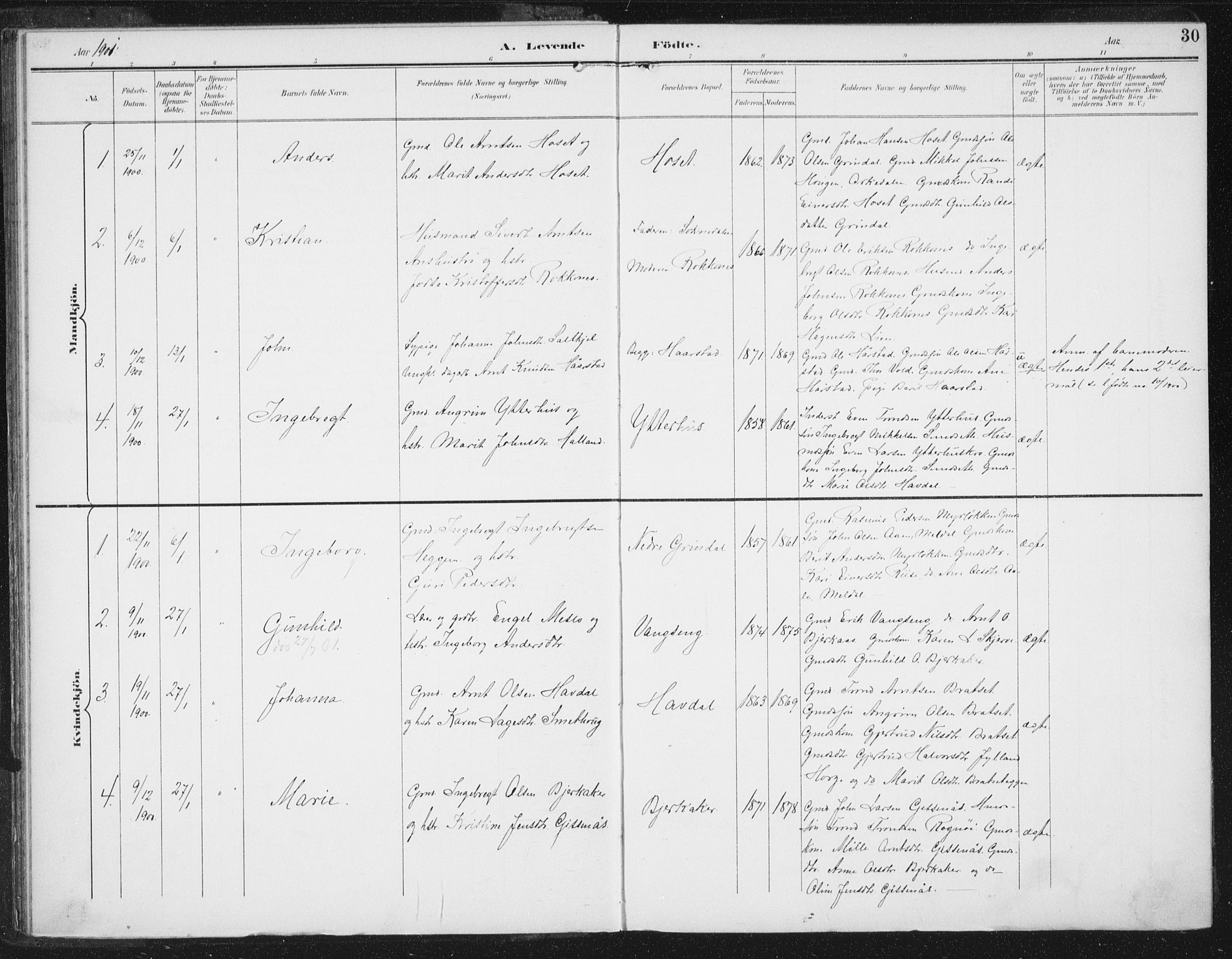Ministerialprotokoller, klokkerbøker og fødselsregistre - Sør-Trøndelag, SAT/A-1456/674/L0872: Parish register (official) no. 674A04, 1897-1907, p. 30