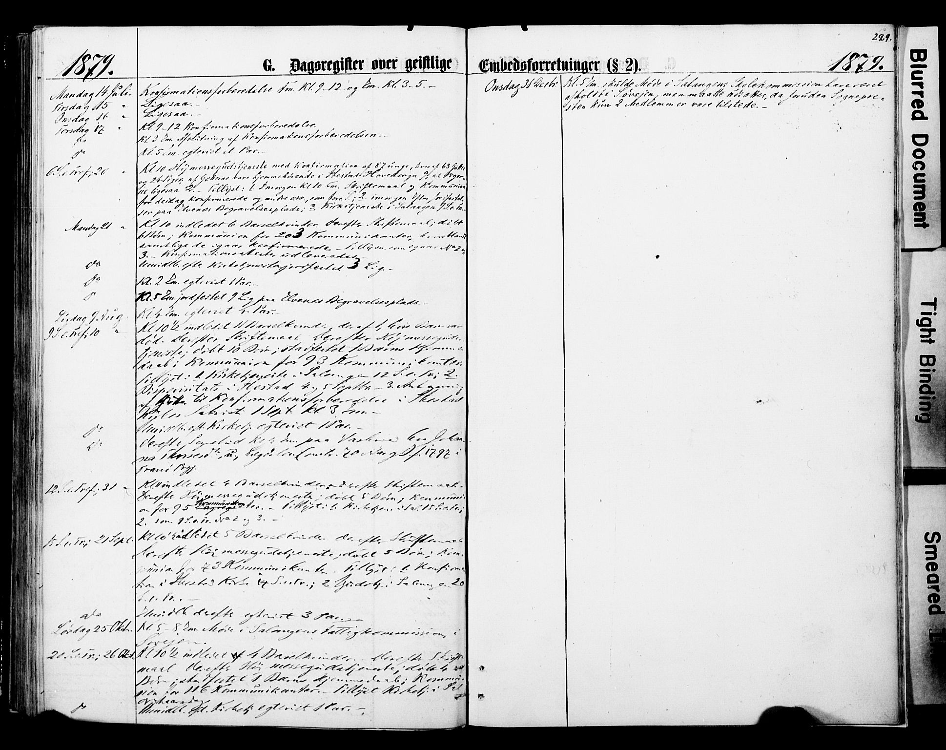 Ibestad sokneprestembete, SATØ/S-0077/H/Ha/Haa/L0013kirke: Parish register (official) no. 13, 1865-1879, p. 229