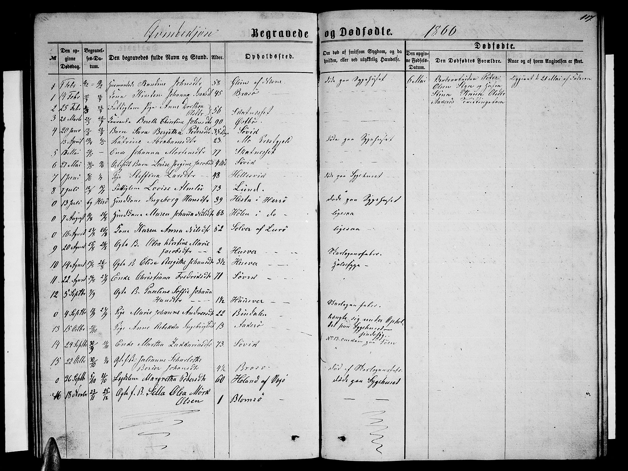 Ministerialprotokoller, klokkerbøker og fødselsregistre - Nordland, SAT/A-1459/830/L0461: Parish register (copy) no. 830C03, 1866-1881, p. 117