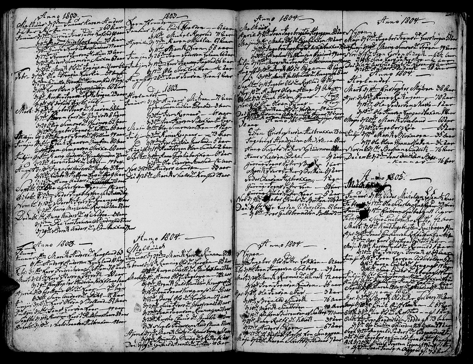 Ministerialprotokoller, klokkerbøker og fødselsregistre - Sør-Trøndelag, SAT/A-1456/691/L1061: Parish register (official) no. 691A02 /1, 1768-1815, p. 221