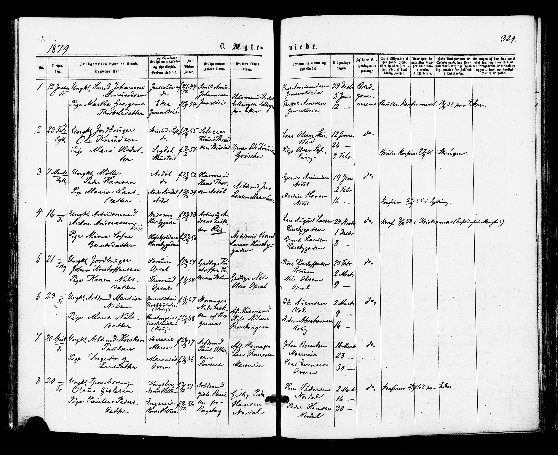 Lier kirkebøker, SAKO/A-230/F/Fa/L0014: Parish register (official) no. I 14, 1875-1882, p. 329