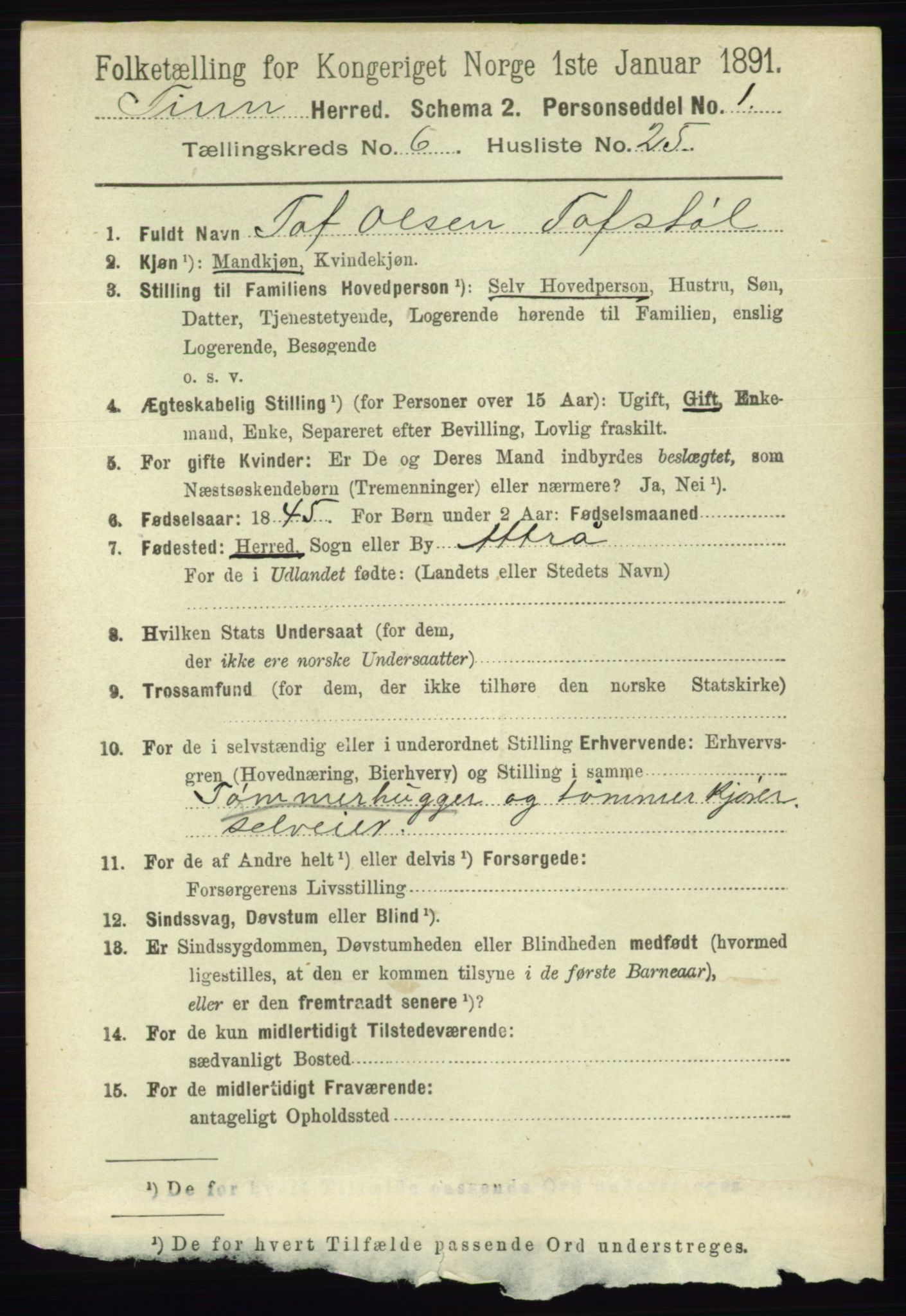 RA, 1891 census for 0826 Tinn, 1891, p. 1387