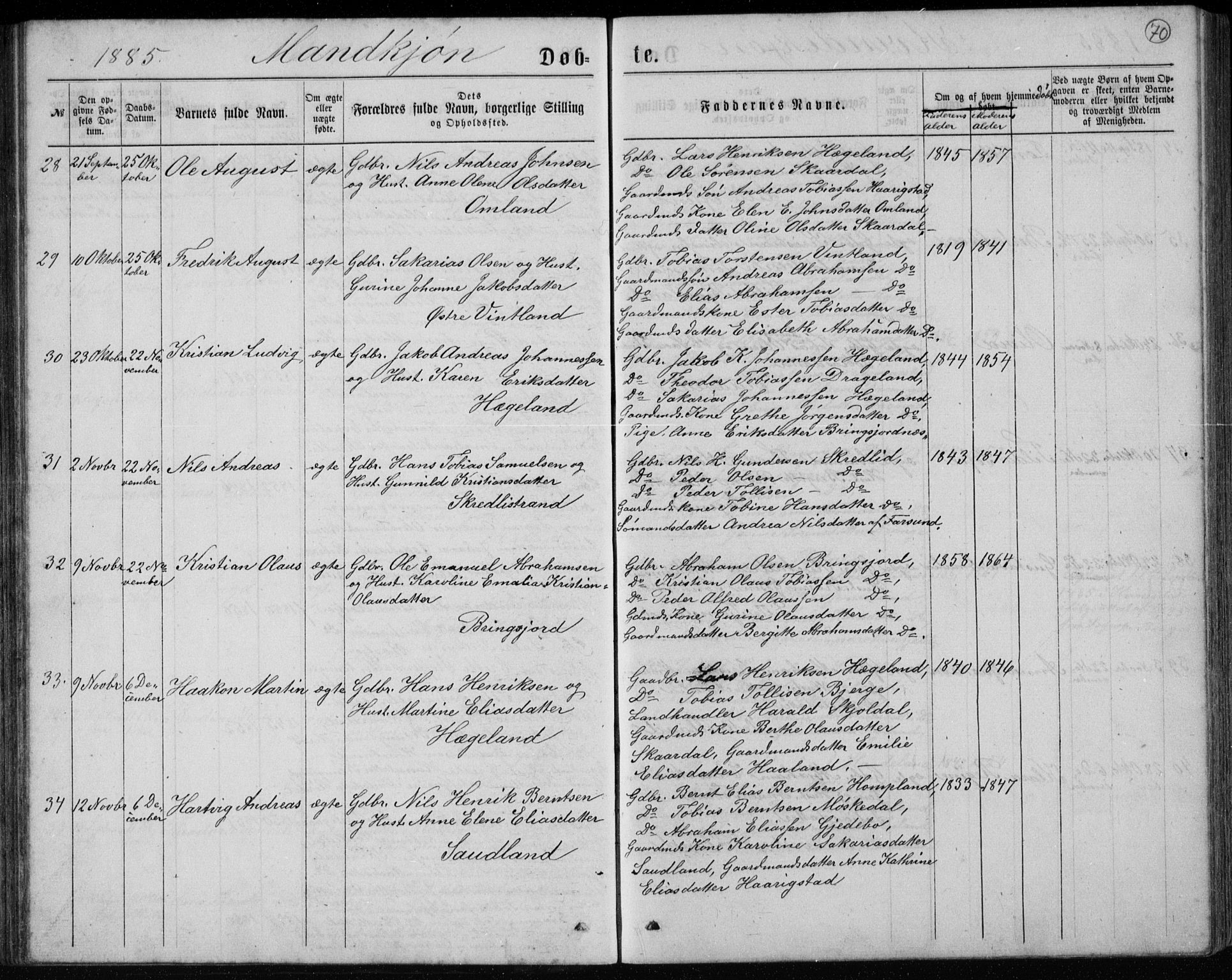 Lyngdal sokneprestkontor, AV/SAK-1111-0029/F/Fb/Fbc/L0004: Parish register (copy) no. B 4, 1878-1896, p. 70