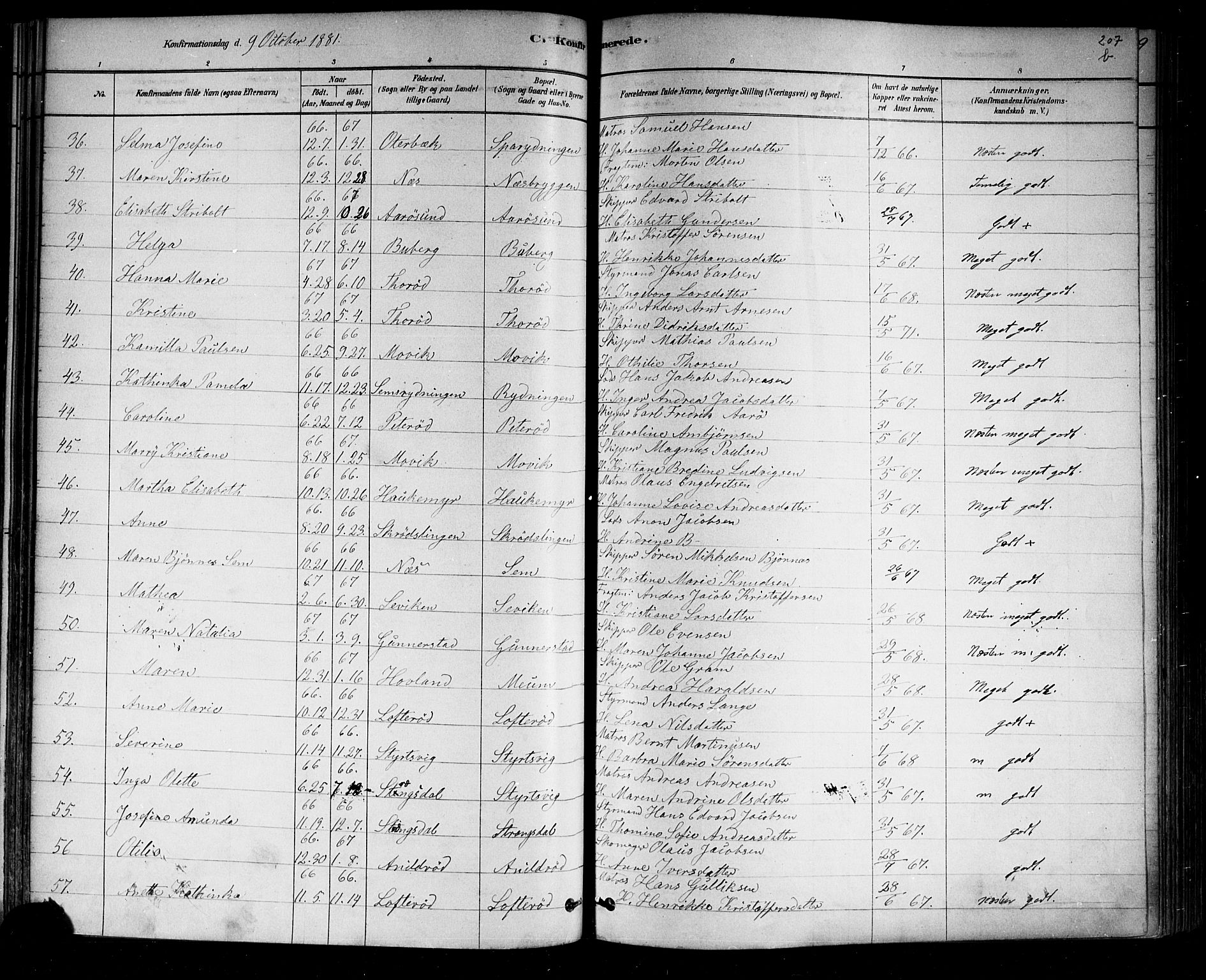 Nøtterøy kirkebøker, AV/SAKO-A-354/F/Fa/L0008: Parish register (official) no. I 8, 1878-1893, p. 207