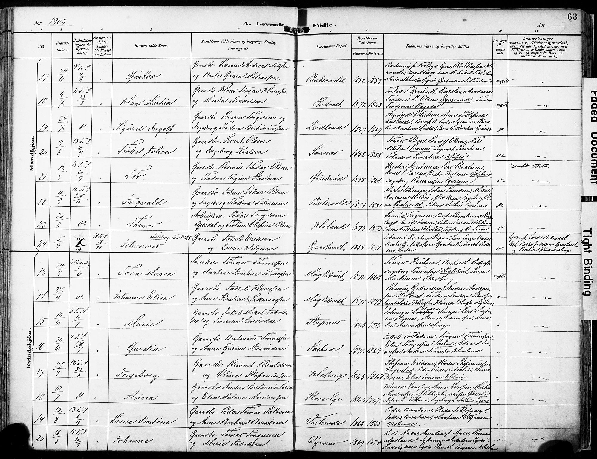 Eigersund sokneprestkontor, AV/SAST-A-101807/S08/L0018: Parish register (official) no. A 17, 1892-1905, p. 63