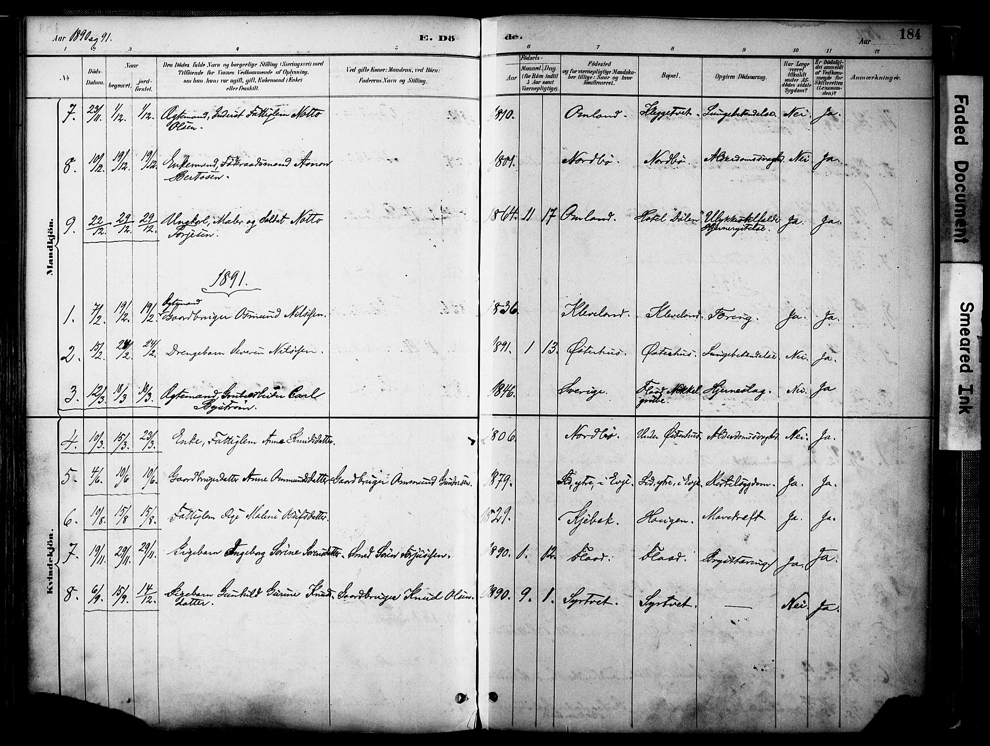 Evje sokneprestkontor, AV/SAK-1111-0008/F/Fa/Faa/L0007: Parish register (official) no. A 7, 1884-1909, p. 184