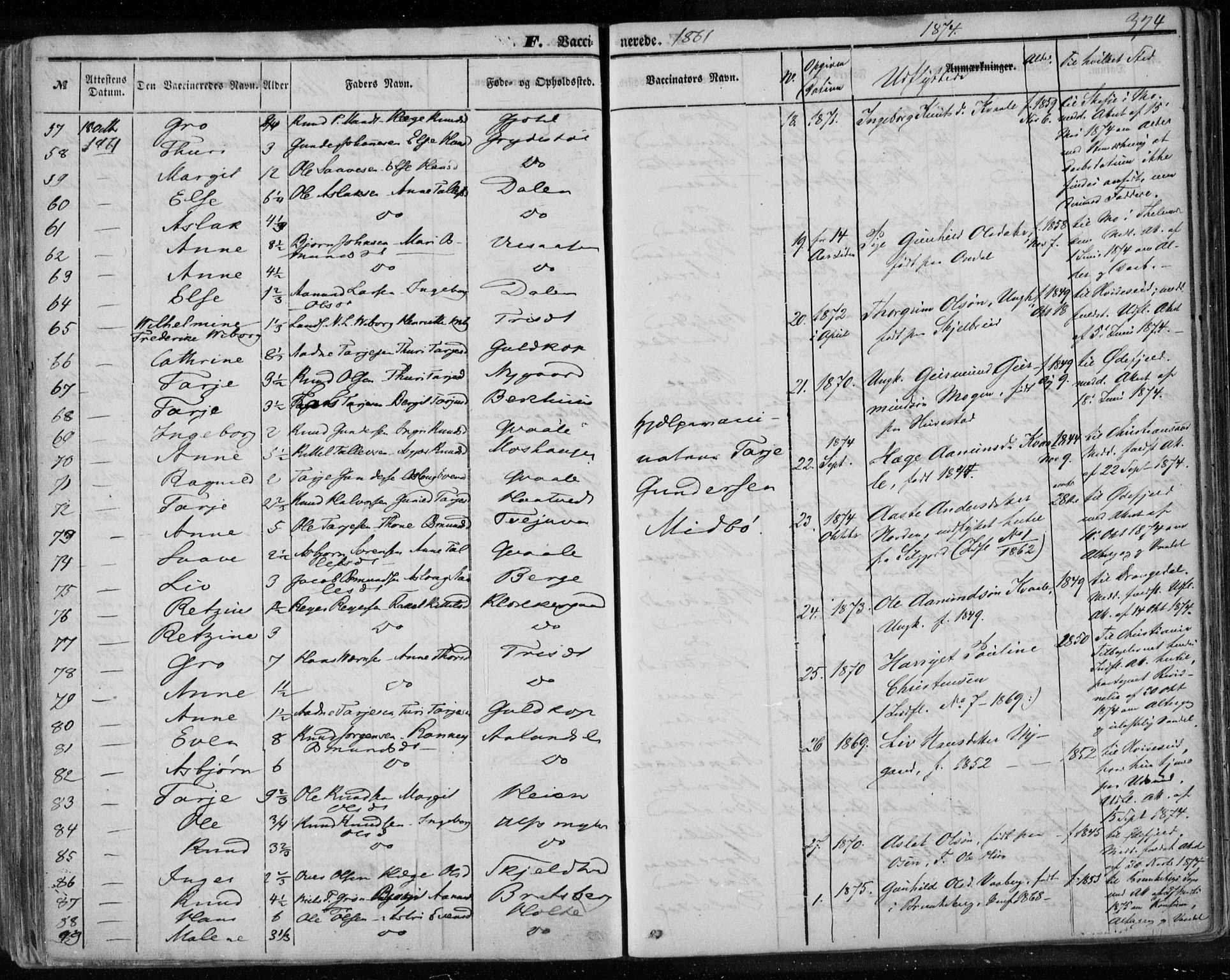 Lårdal kirkebøker, SAKO/A-284/F/Fa/L0006: Parish register (official) no. I 6, 1861-1886, p. 374