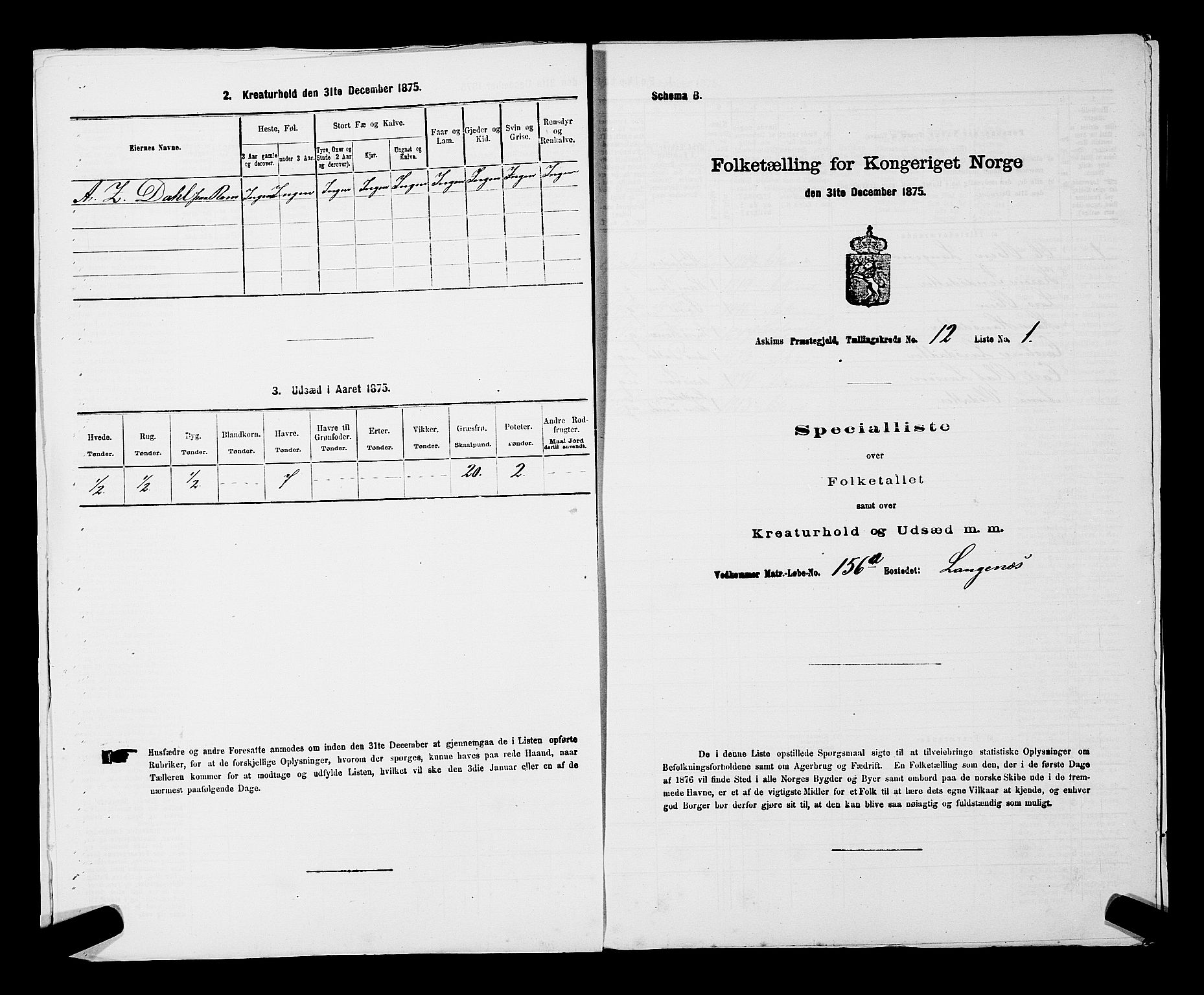 RA, 1875 census for 0124P Askim, 1875, p. 815