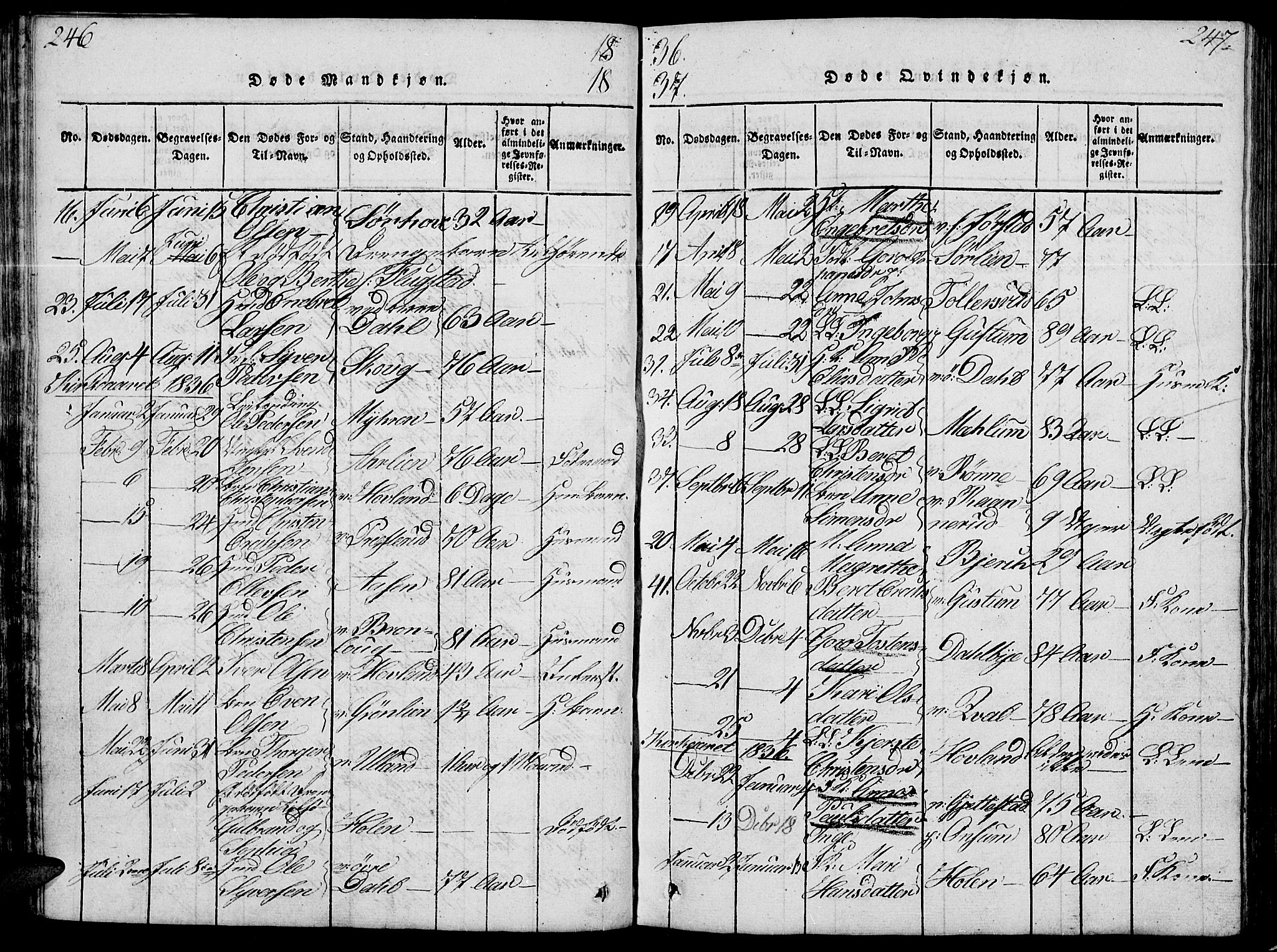 Fåberg prestekontor, SAH/PREST-086/H/Ha/Hab/L0004: Parish register (copy) no. 4, 1818-1837, p. 246-247