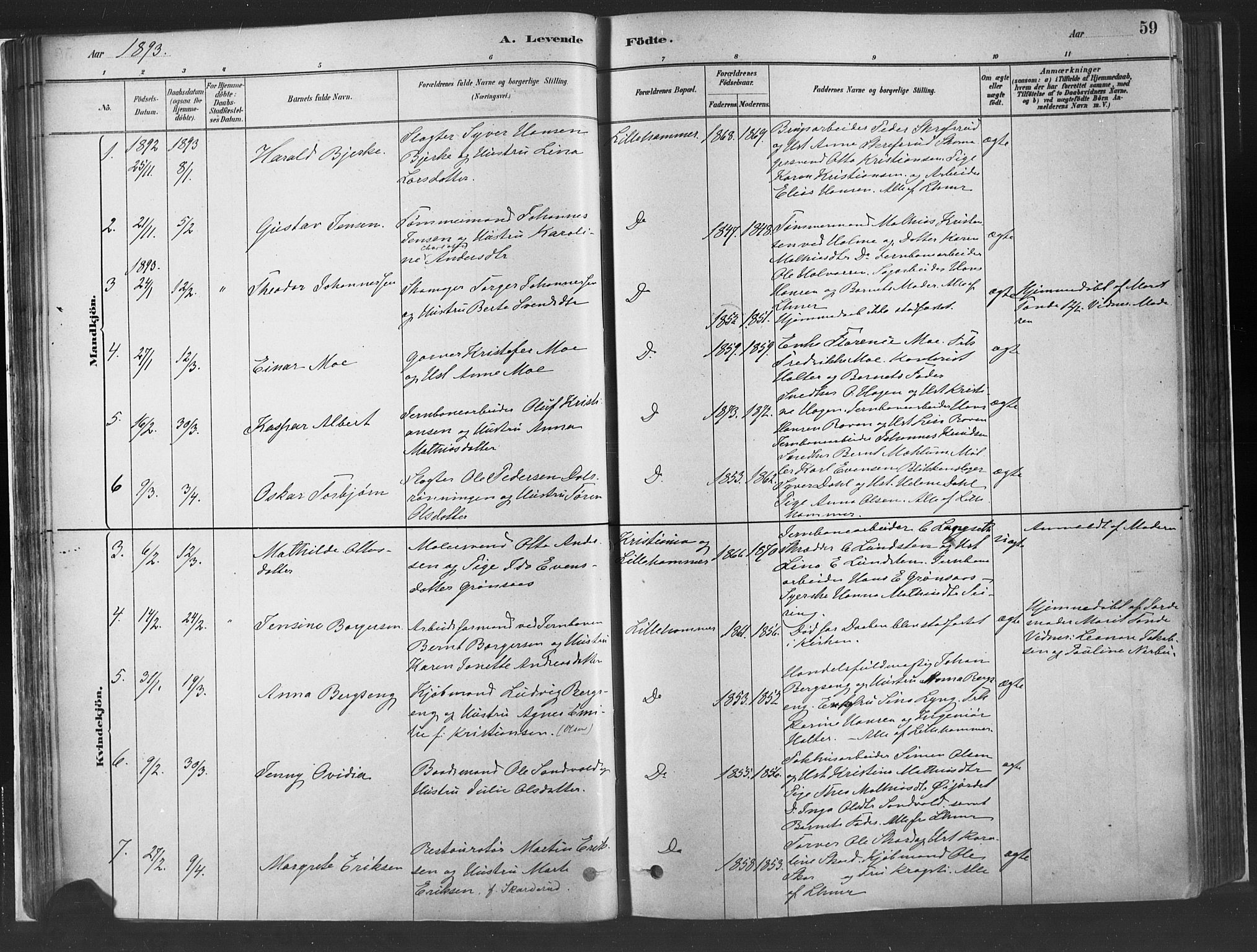 Fåberg prestekontor, SAH/PREST-086/H/Ha/Haa/L0010: Parish register (official) no. 10, 1879-1900, p. 59