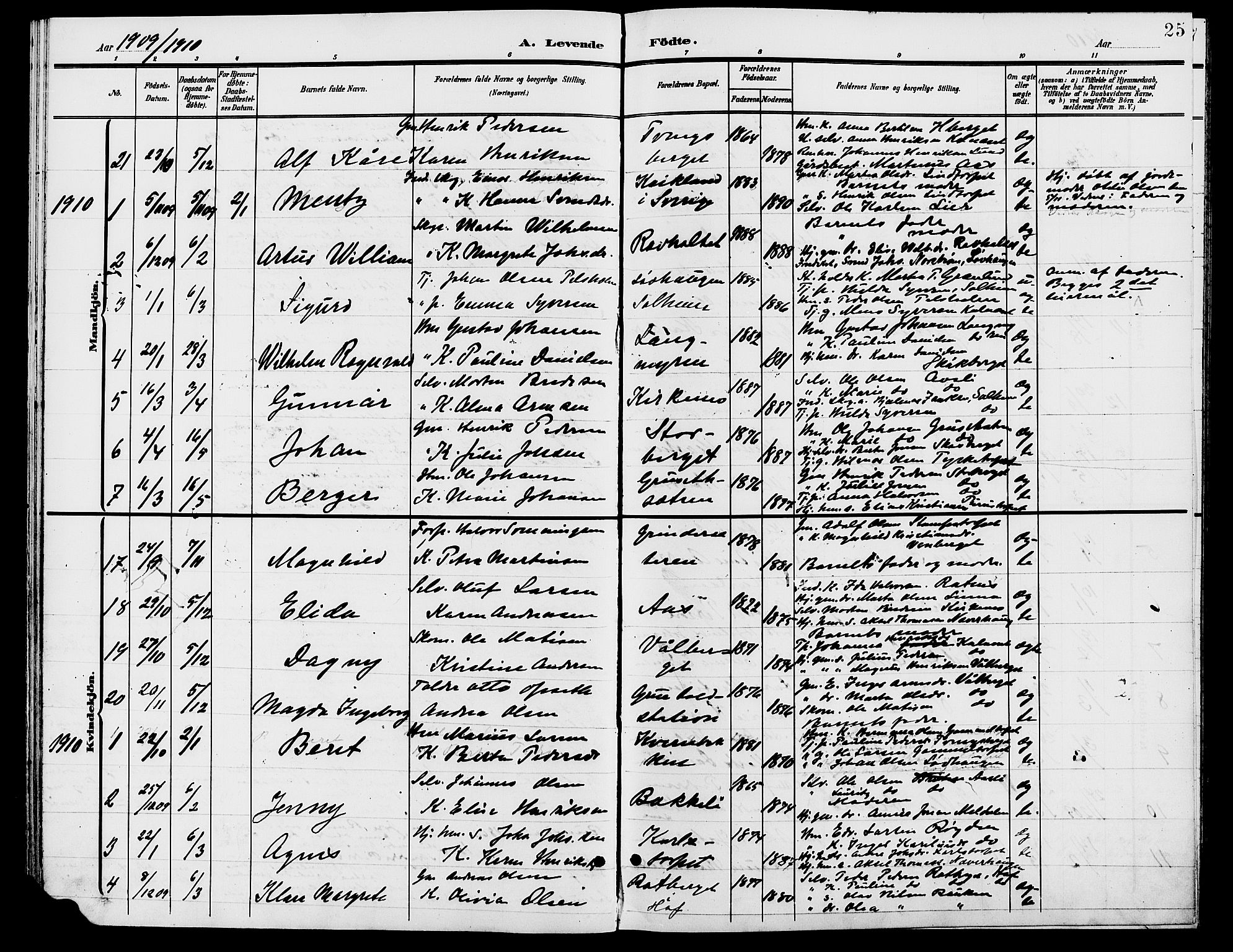 Grue prestekontor, AV/SAH-PREST-036/H/Ha/Hab/L0006: Parish register (copy) no. 6, 1902-1910, p. 25