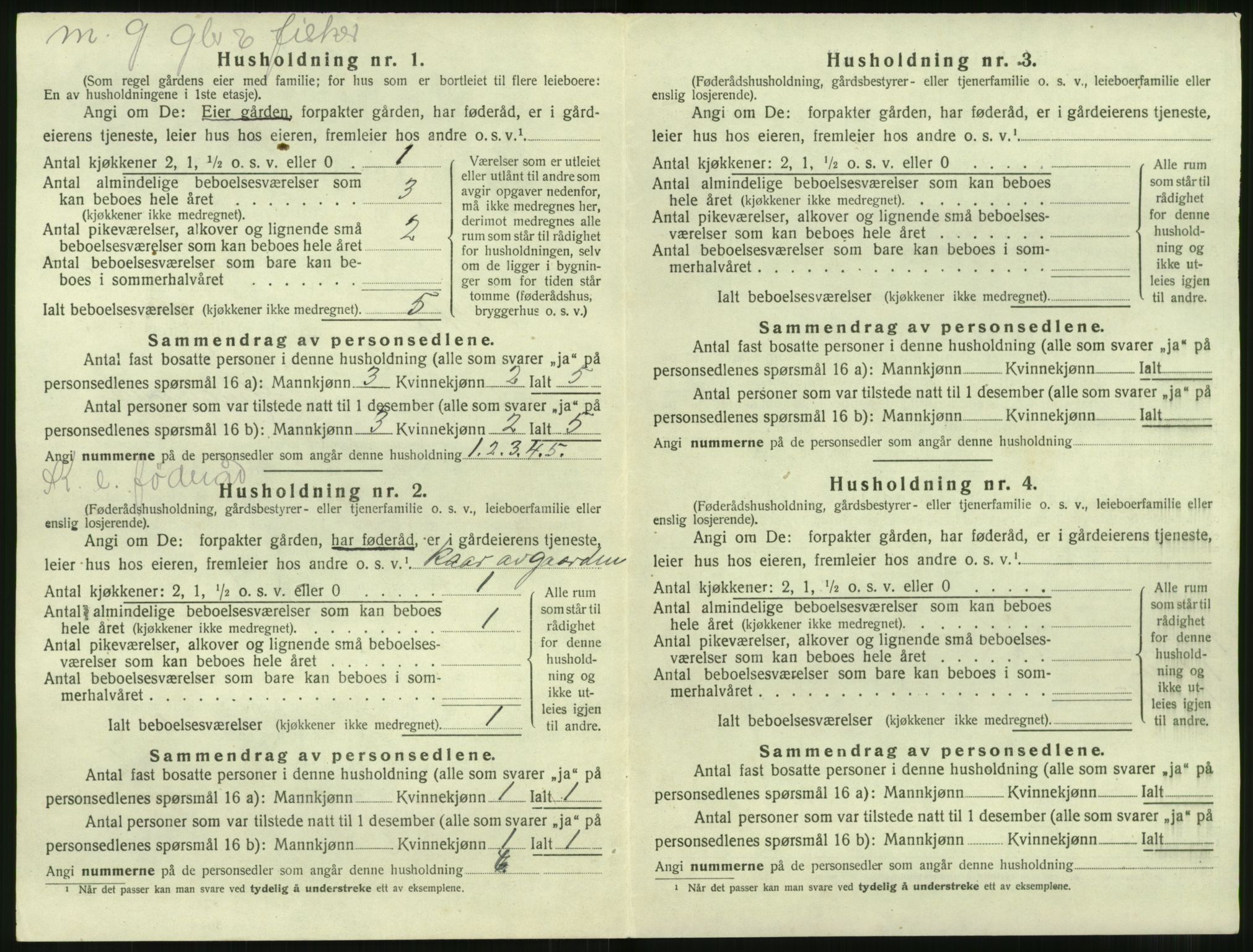 SAT, 1920 census for Herøy (MR), 1920, p. 1020