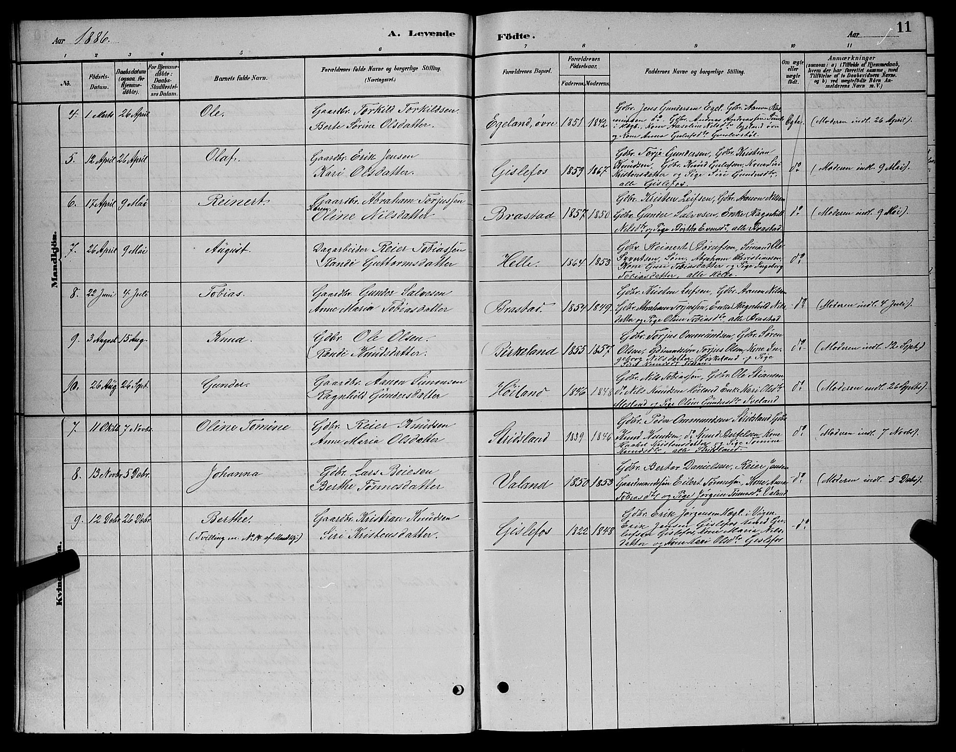 Nord-Audnedal sokneprestkontor, SAK/1111-0032/F/Fb/Fba/L0003: Parish register (copy) no. B 3, 1881-1900, p. 11