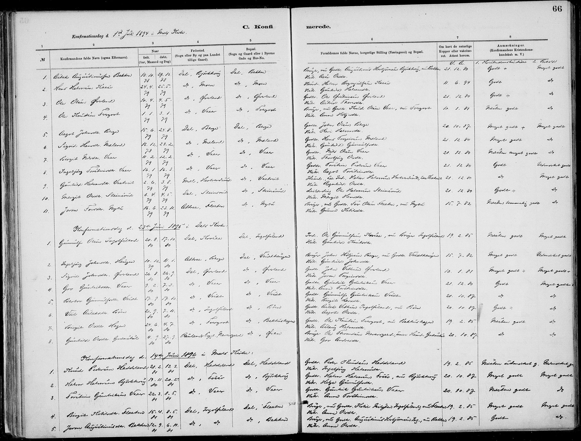 Rjukan kirkebøker, SAKO/A-294/F/Fa/L0001: Parish register (official) no. 1, 1878-1912, p. 66