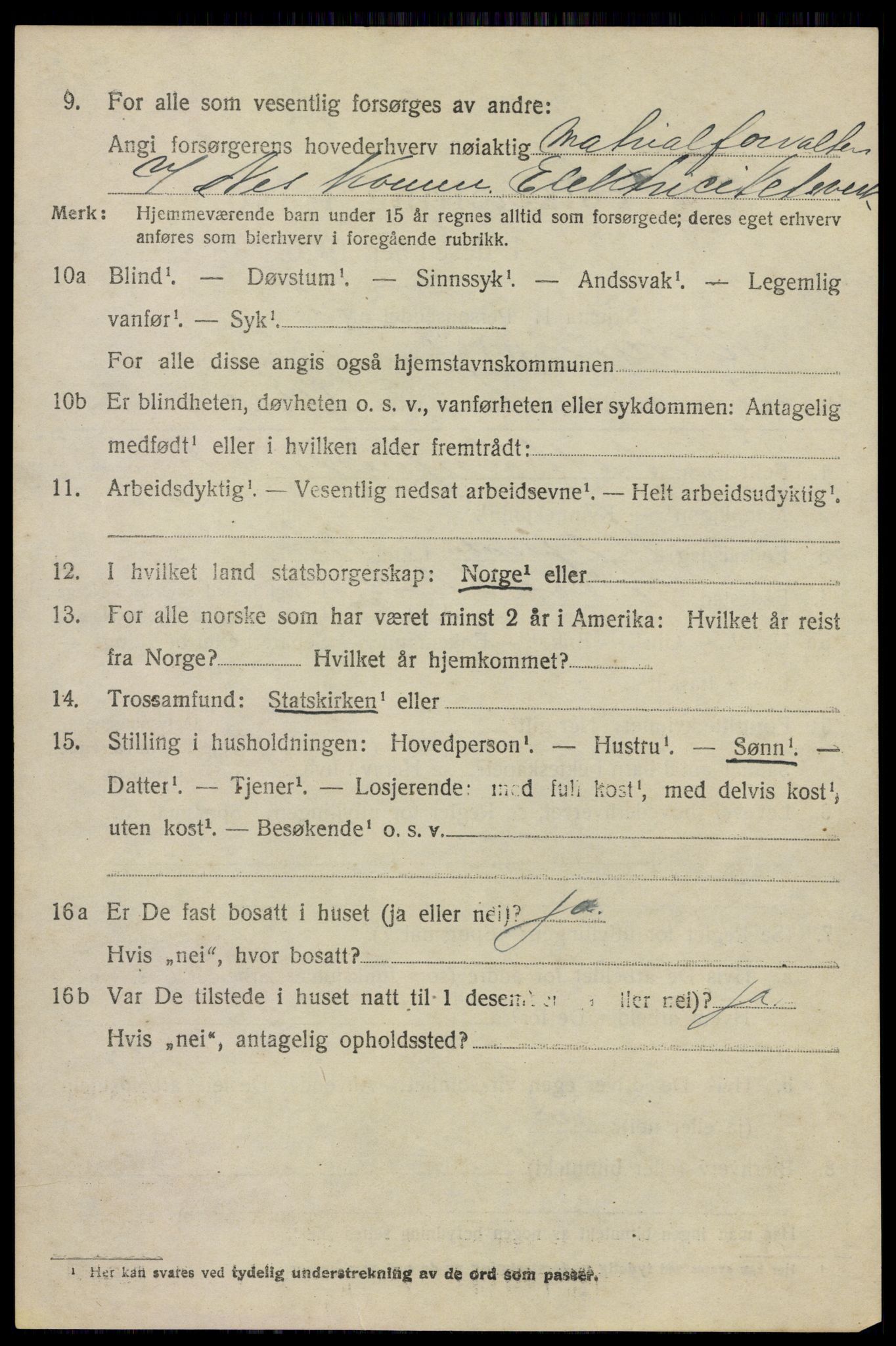 SAO, 1920 census for Nes, 1920, p. 19113