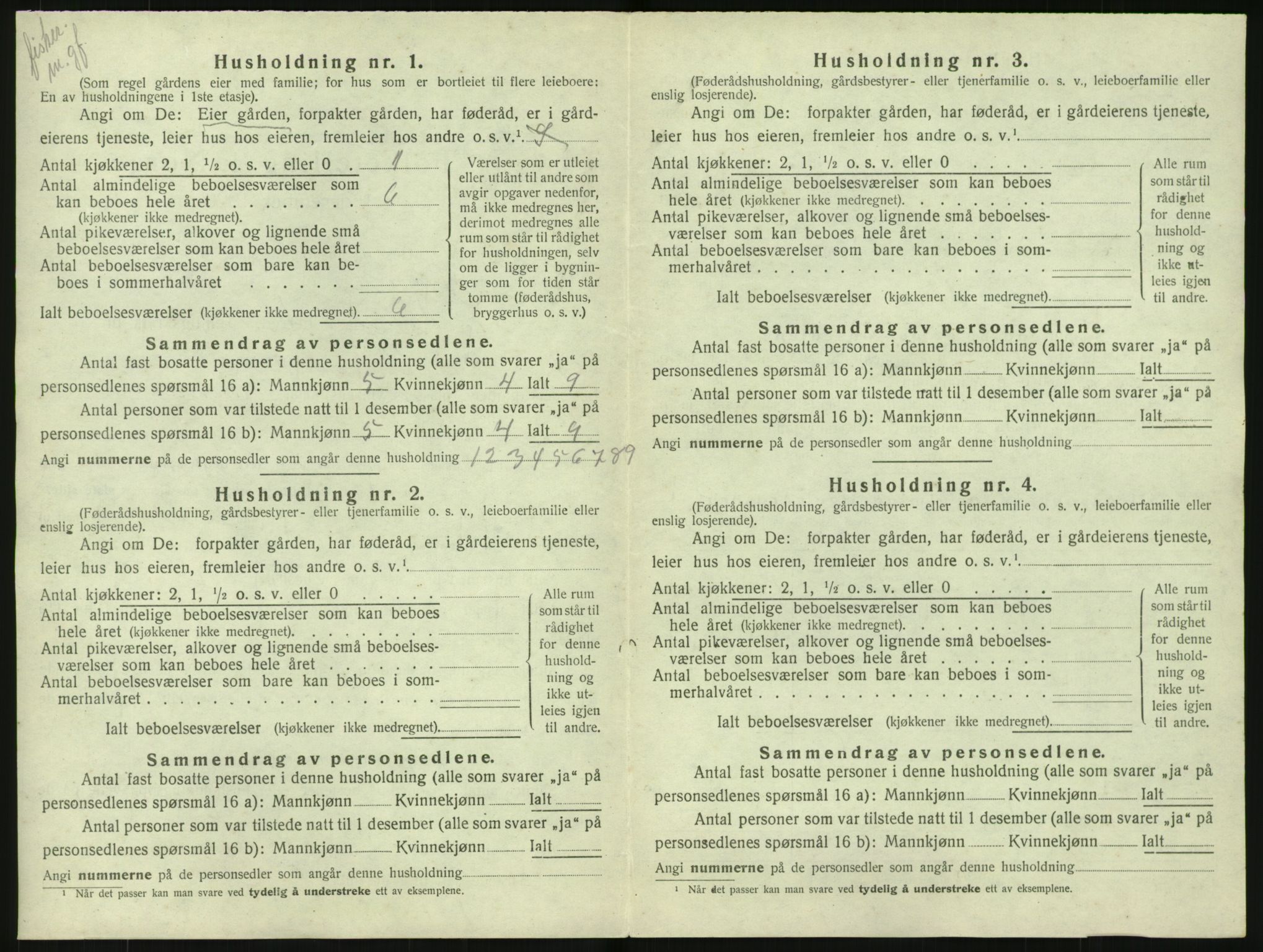 SAK, 1920 census for Nes (V-A), 1920, p. 1031