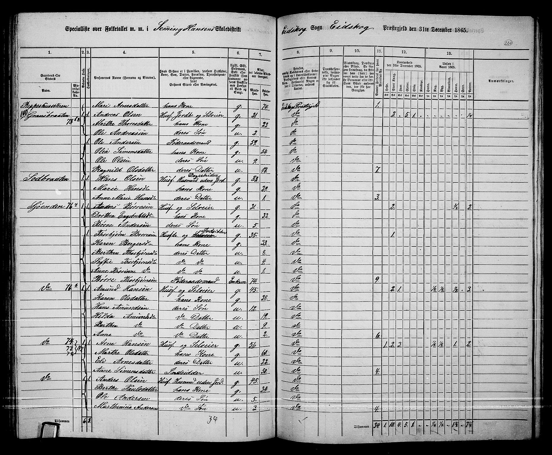 RA, 1865 census for Eidskog, 1865, p. 200