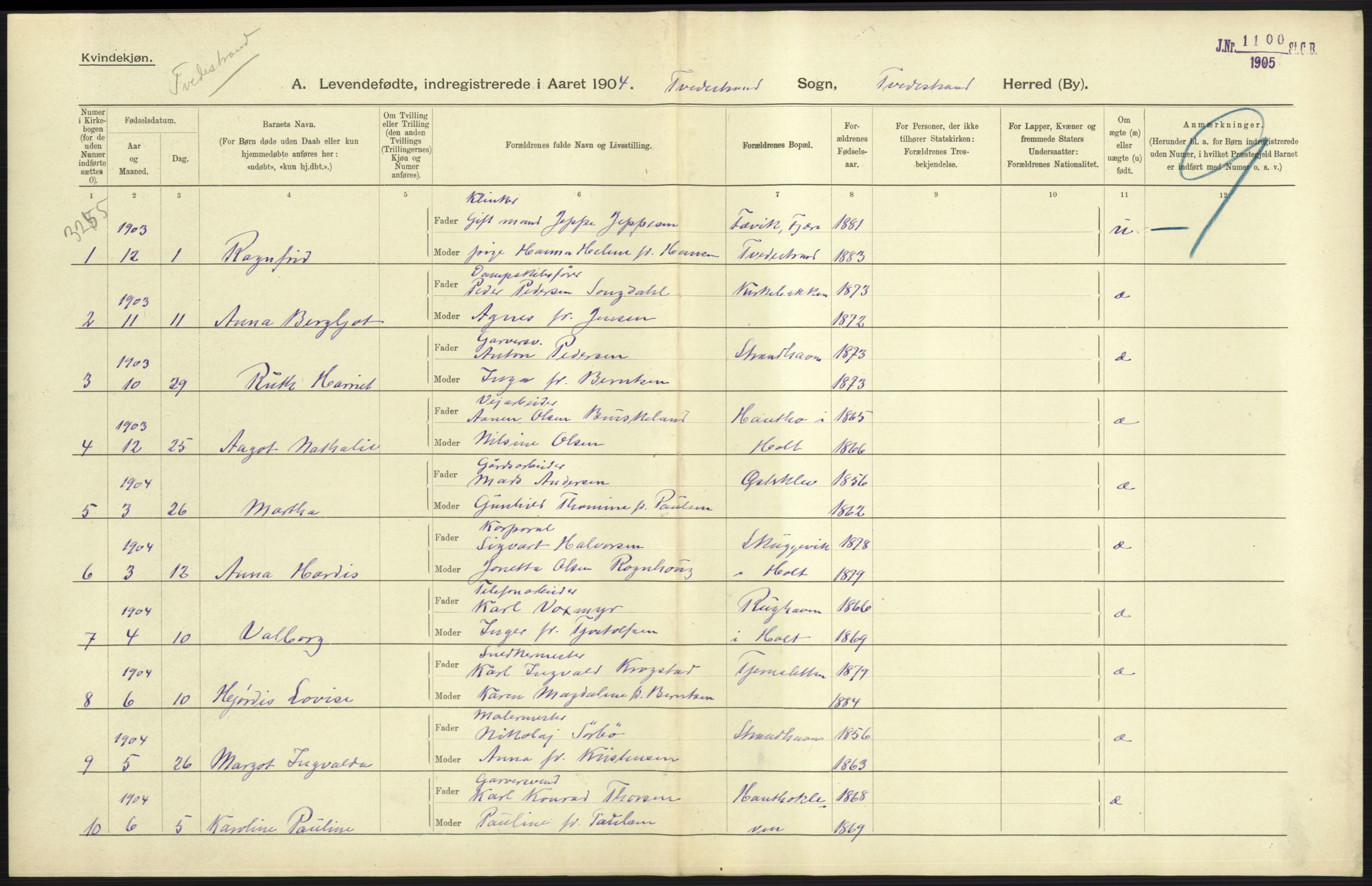 Statistisk sentralbyrå, Sosiodemografiske emner, Befolkning, AV/RA-S-2228/D/Df/Dfa/Dfab/L0010: Nedenes amt: Fødte, gifte, døde, 1904, p. 317