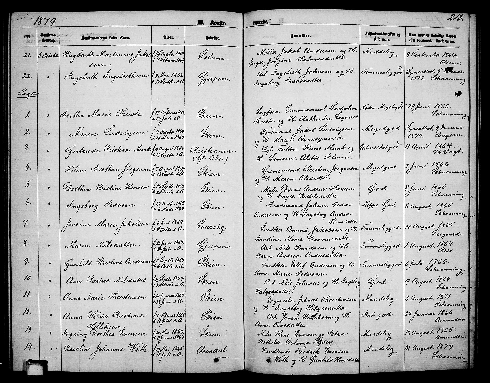 Skien kirkebøker, SAKO/A-302/G/Ga/L0005: Parish register (copy) no. 5, 1868-1880, p. 213