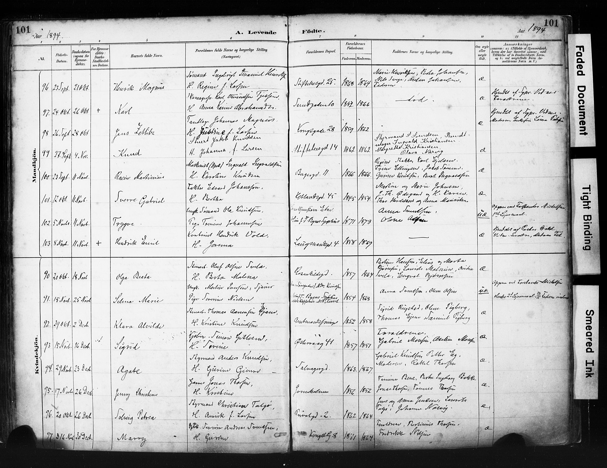 St. Petri sokneprestkontor, AV/SAST-A-101813/001/30/30BA/L0019: Parish register (official) no. A 20, 1888-1901, p. 101